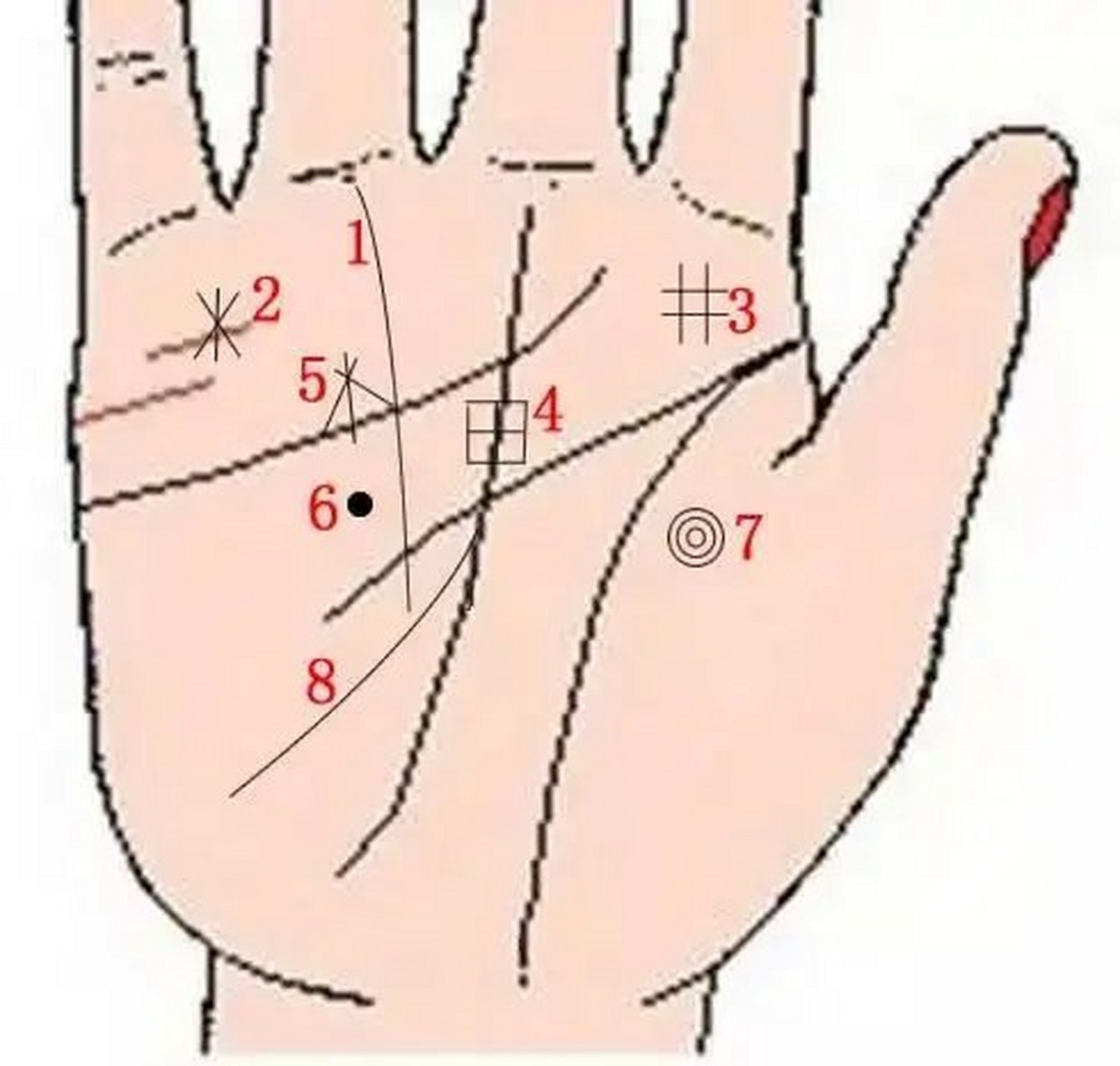 星形纹(如图所示2):  在小指下方的水星丘处出现,一是代表你有意外之