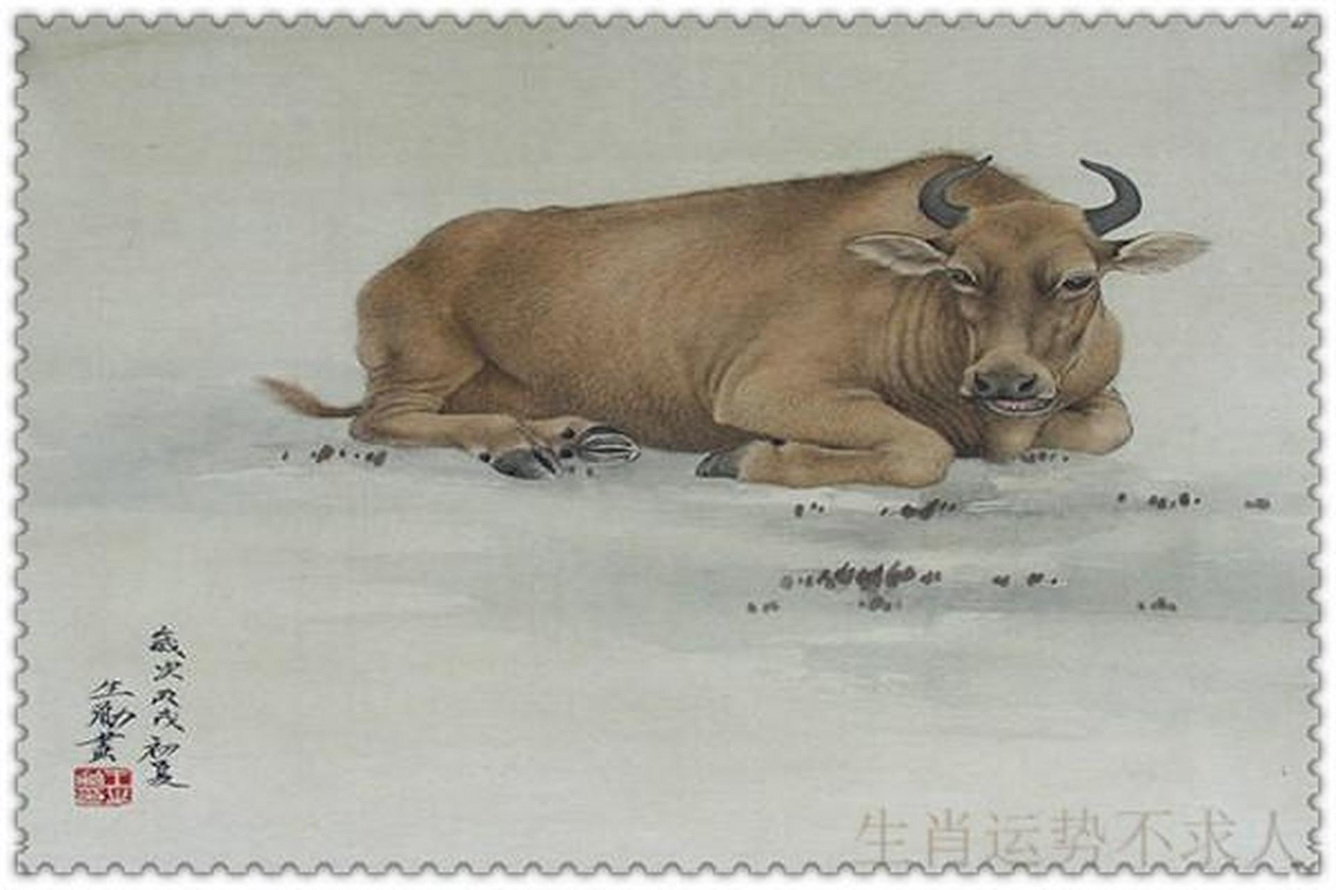 因为2021是辛丑牛年,所以鼠生肖的人迎来了六合太岁的年份.