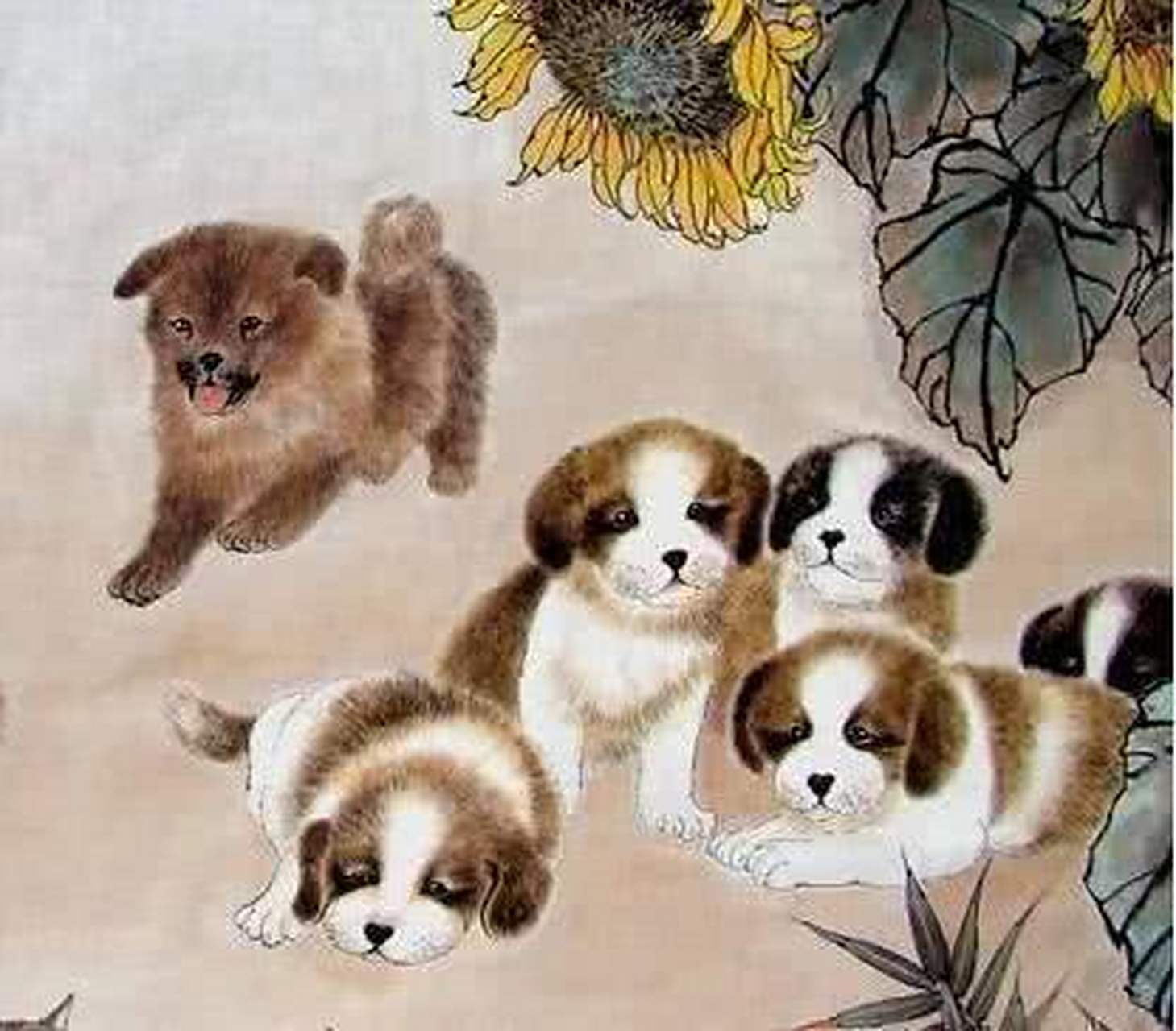 生肖狗女  属狗女特别的谦虚低调,每次在别人面前都会表现出比较自卑