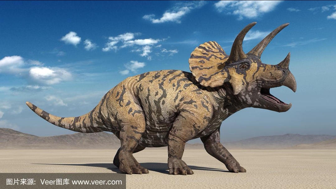 三角龙身长约6米