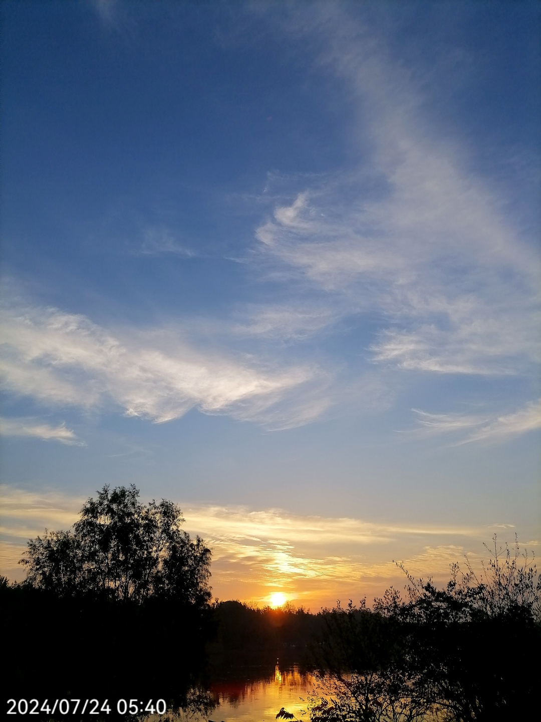 夏日最清凉的时候,就是清晨,云彩镶嵌着金边,慢悠悠地在天空中游荡.