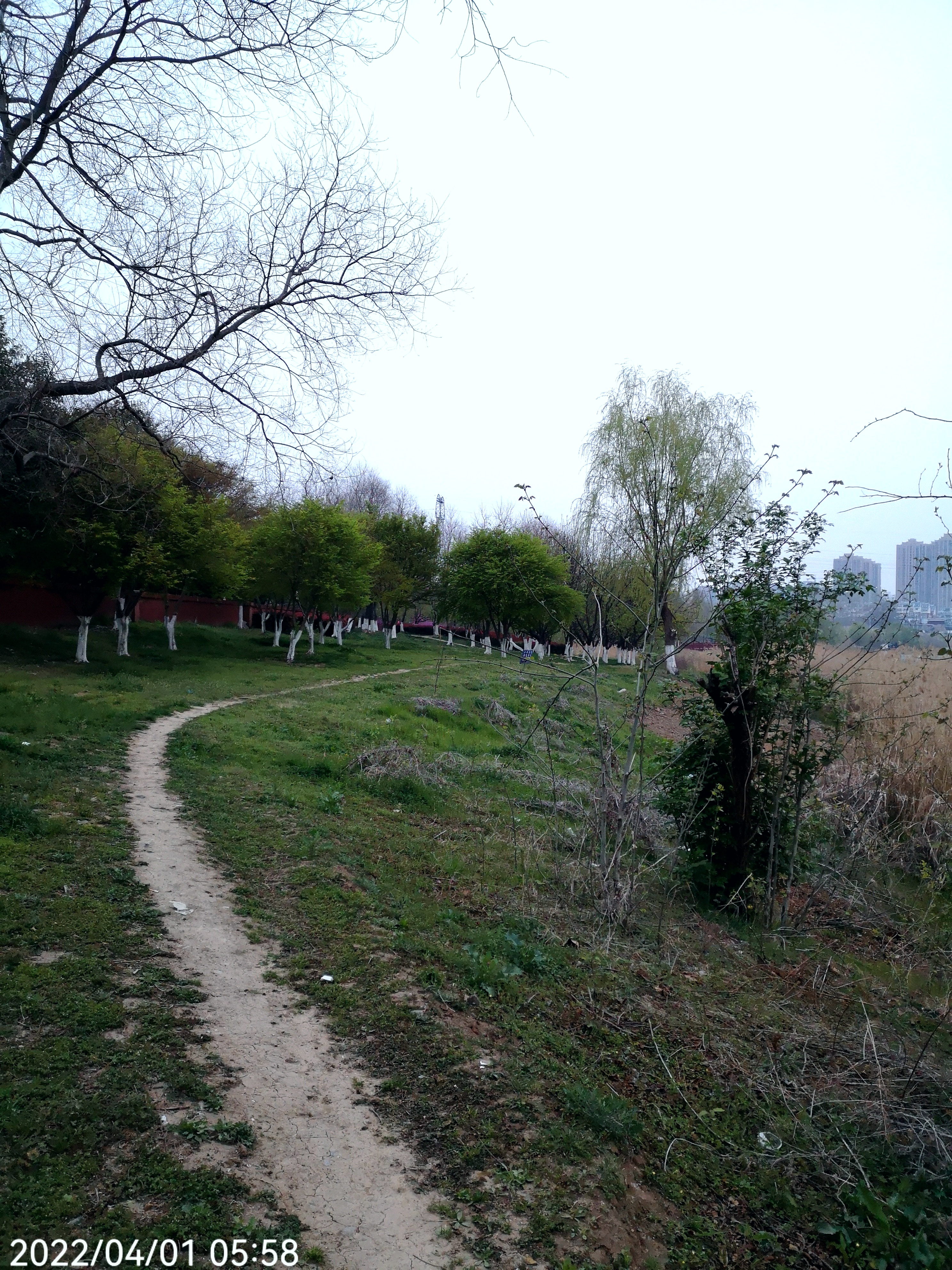 春雨淅淅沥沥的下着