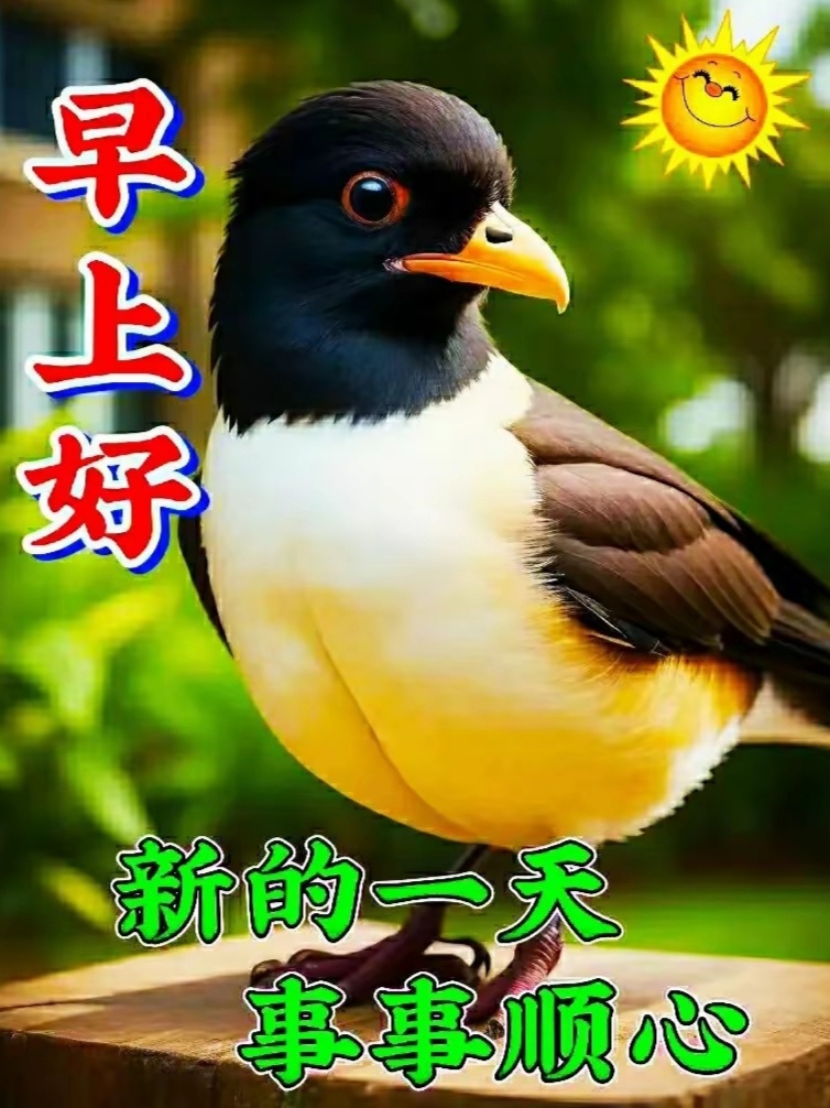最美动感早上好精致图片动感