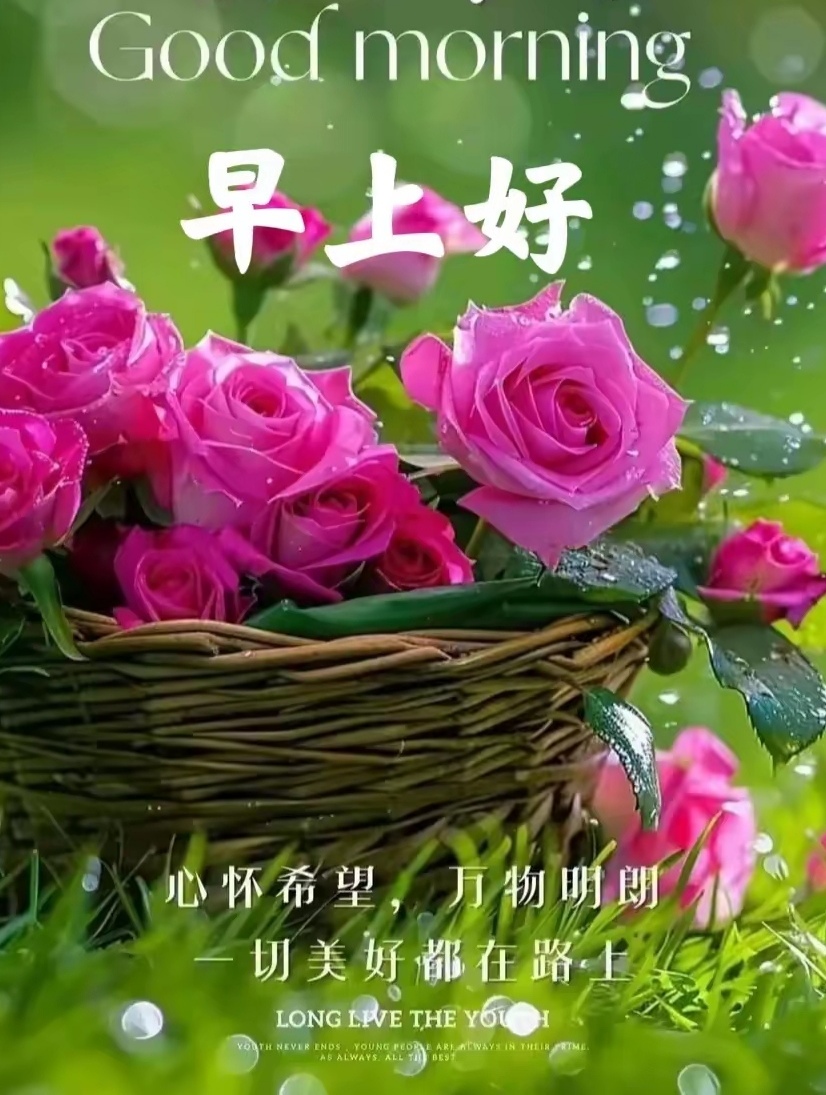顺风顺水最正确一肖_顺风顺水是指哪一生肖