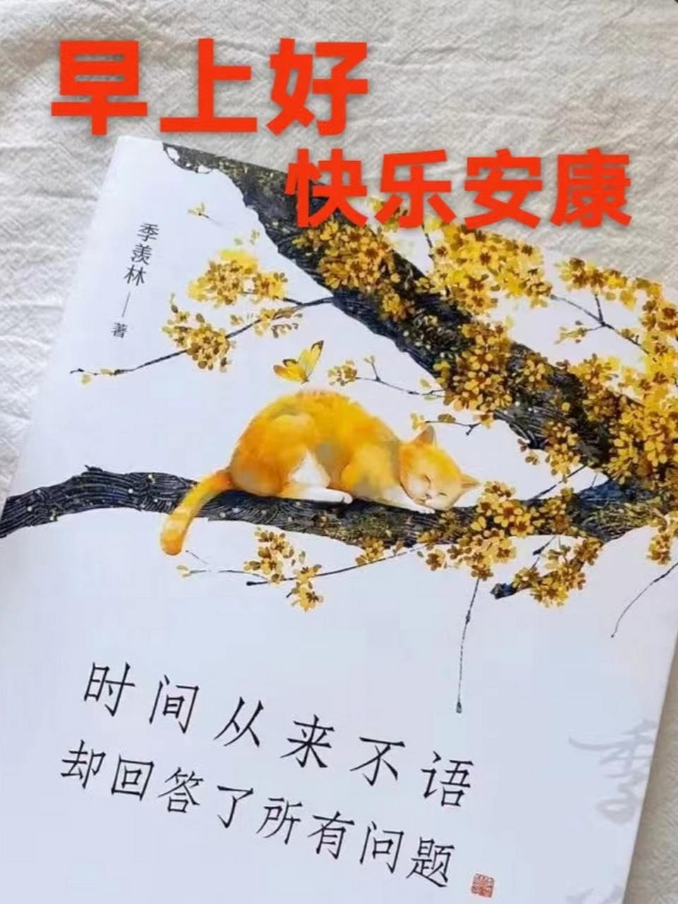 人到中年,我现在活得越来越明白,越来越清醒了,不喜欢复杂的事物,喜欢