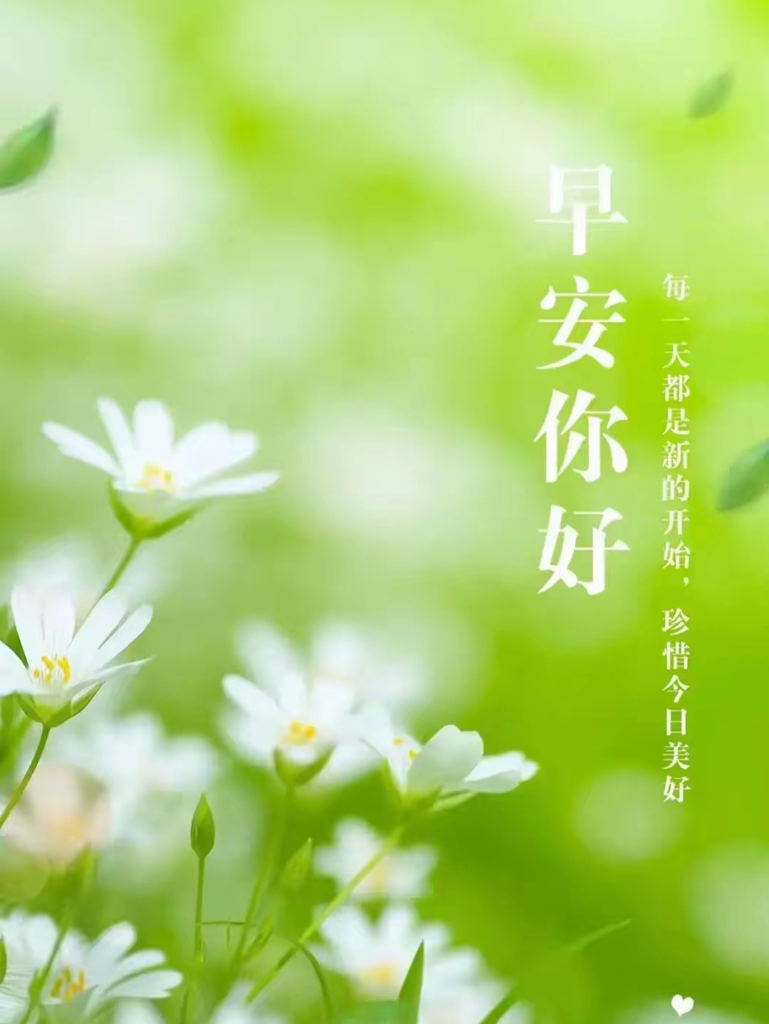 餐桌上,三餐简单而温馨,吃饱而有滋有味,四季中,春夏秋冬更迭,我自