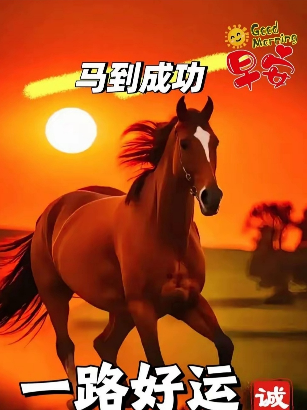 今年马的生肖运势(今年马的运势怎么样2022)