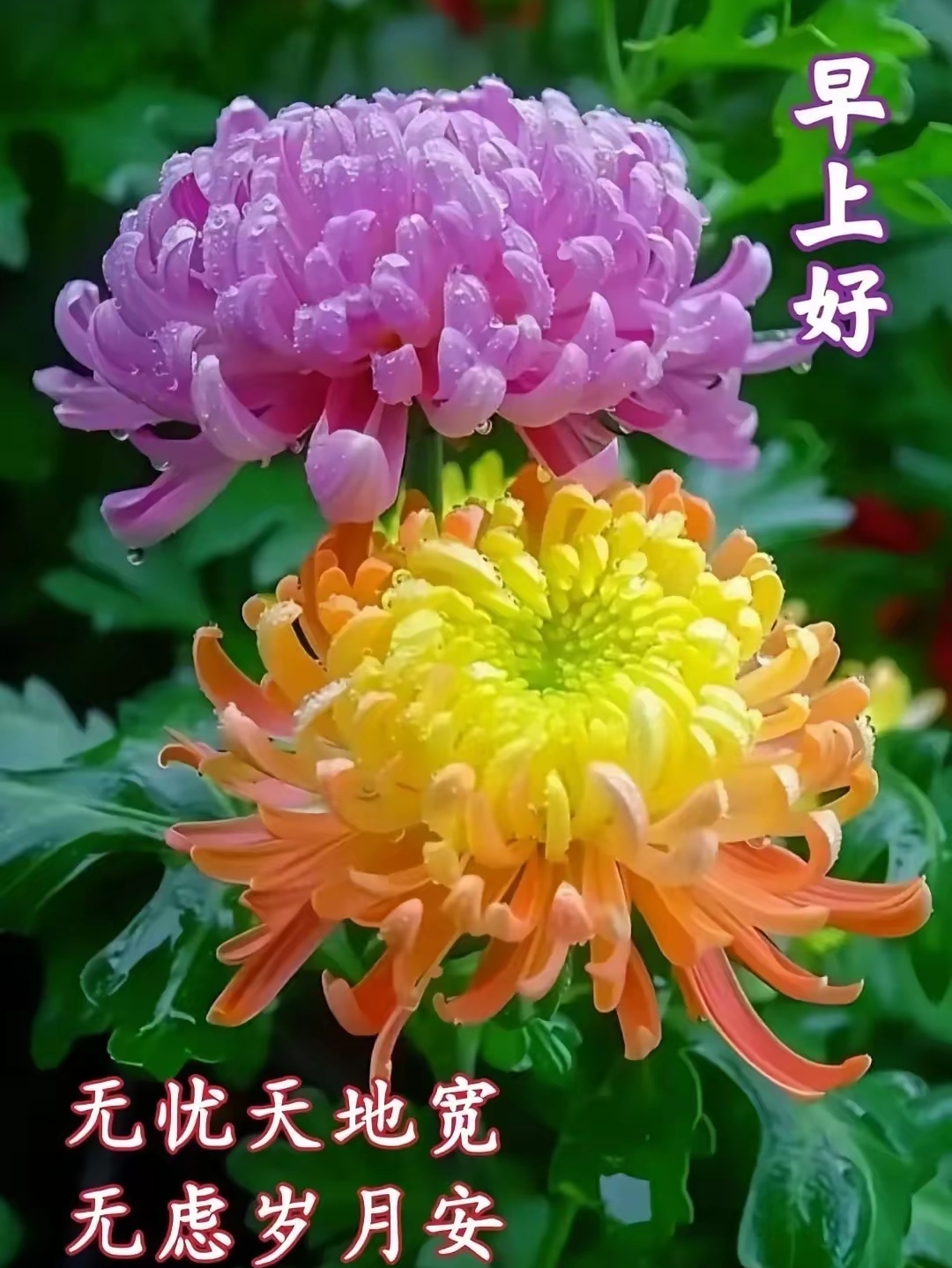 动态连更挑战# 活在当下,风景在路上