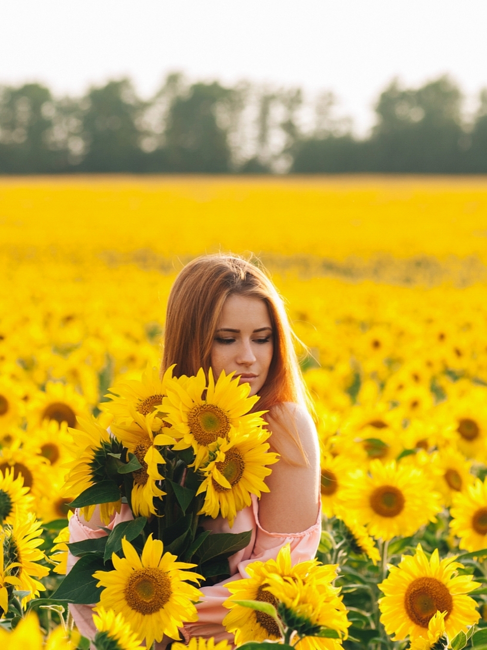 都有一片花田,那里种满了鲜花,心情好的时候,总是心花怒放