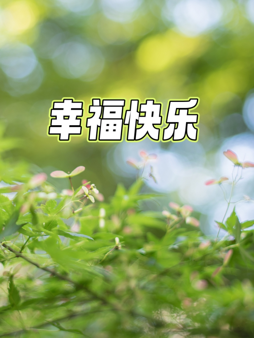 早晨的阳光洒在身上,温暖的气息告诉我,新的一天开始了,我该吃早餐了