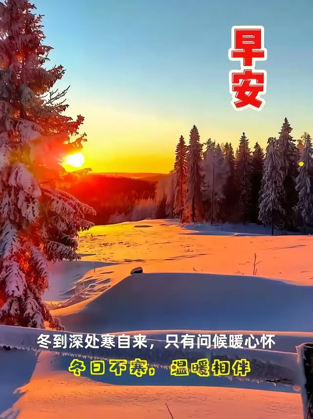 早安图片冬天问候暖心的图片冬季早上好图片冬季祝福图片初冬早上好