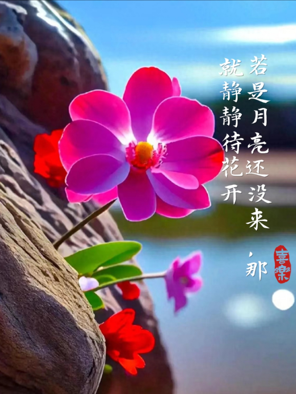 若是月亮还没来,那就静静待花开,沉住气,等繁花盛开,我心中已有万般