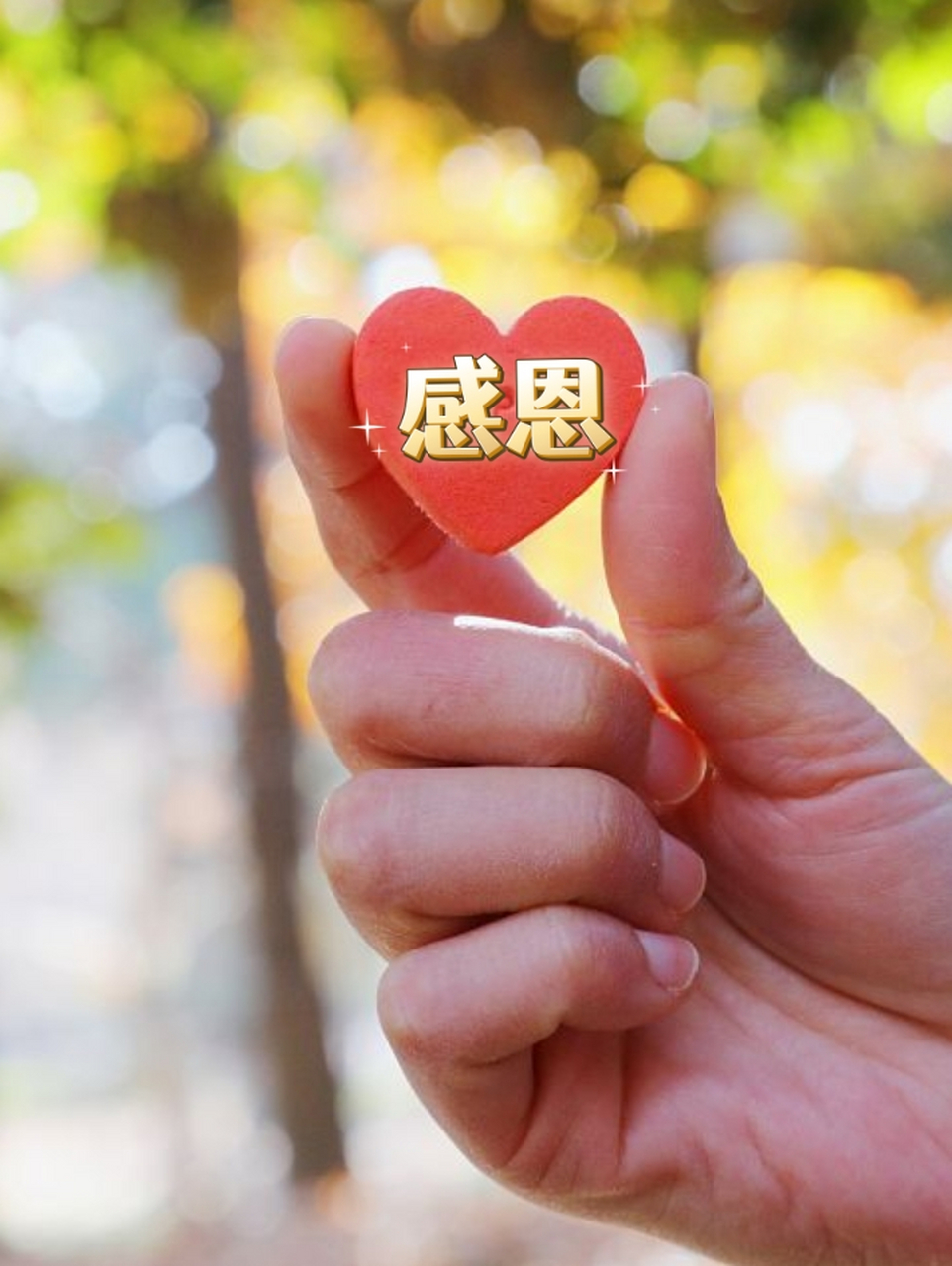 一个懂得感恩的人,是有德行的人,看待事物总