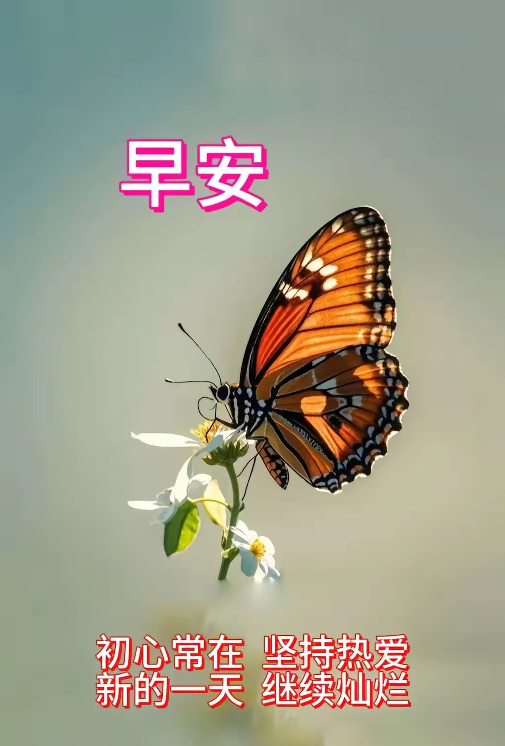 动态连更挑战#情绪掌控自己,心境影响人生,不好的