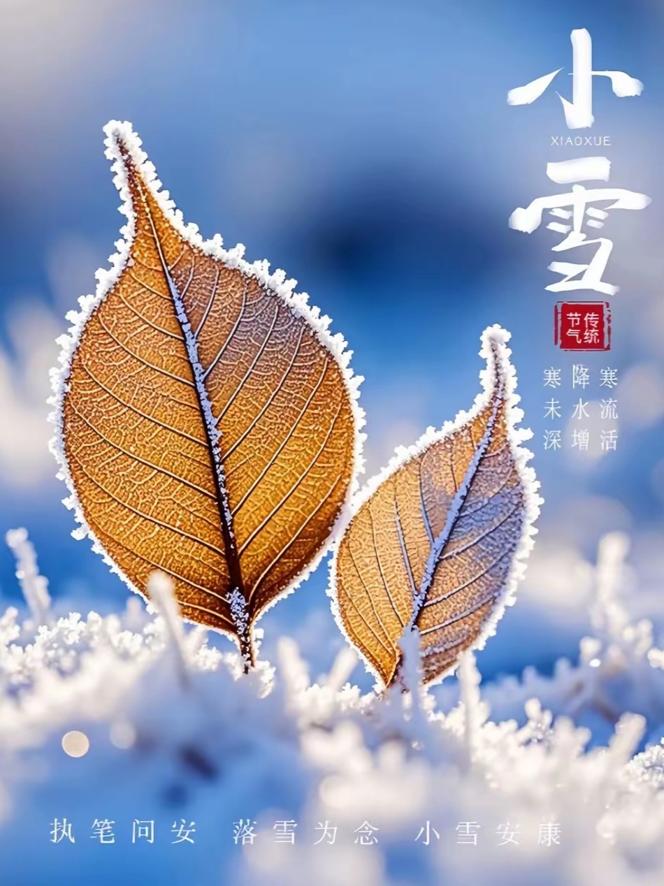 小雪照片小雪图片下雪小雪图片大全今日小雪图片小雪唯美天气小雪图片