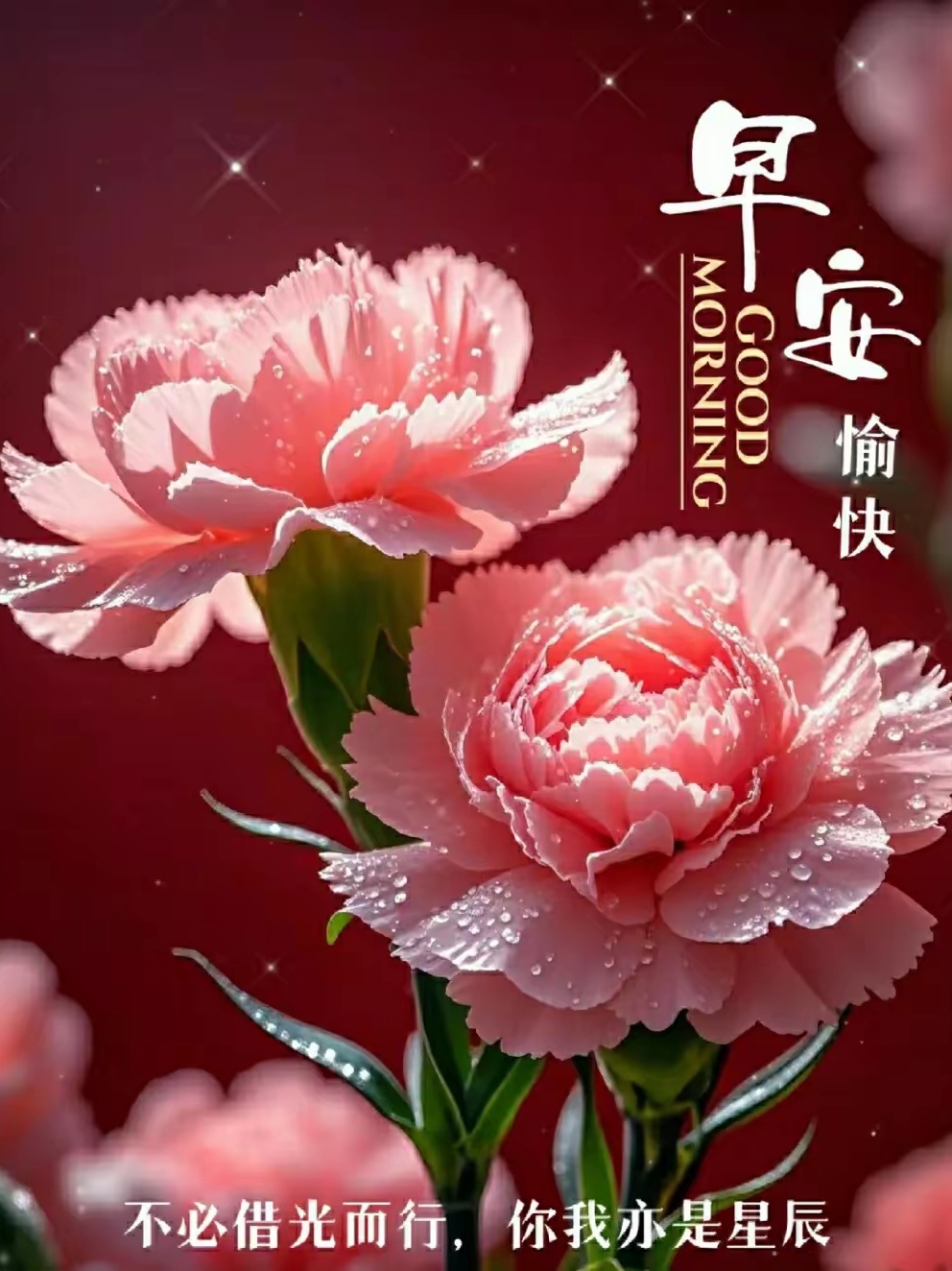 笑逐颜开的介绍和笑逐颜开的近义词剧情分析