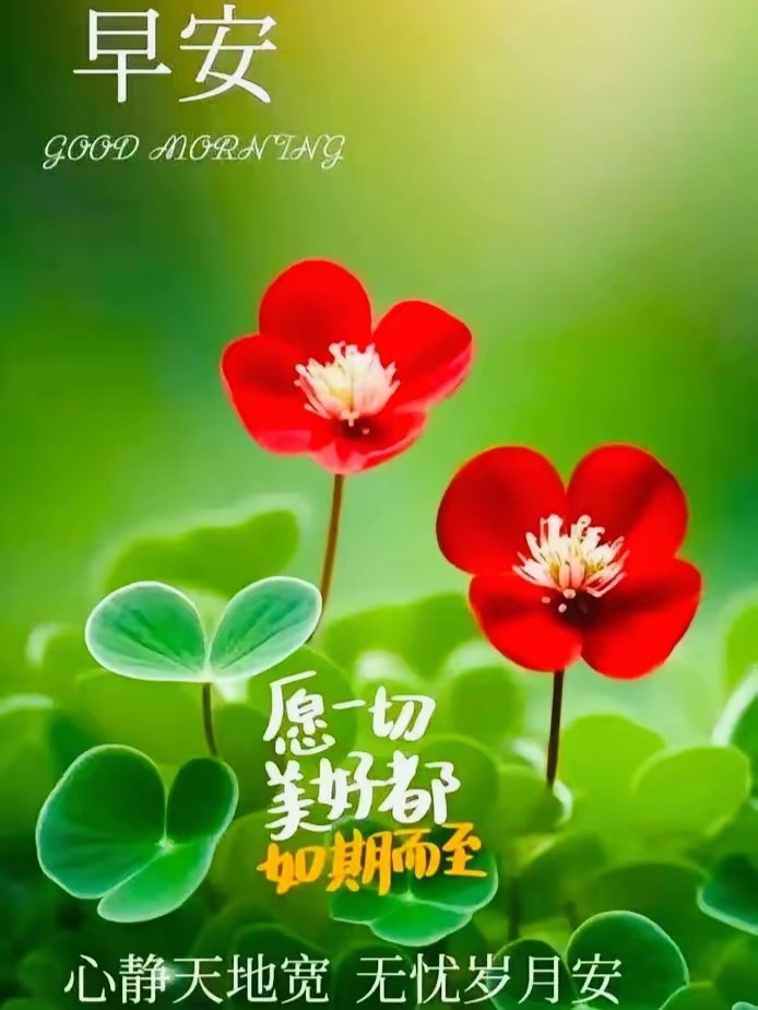 让每一天都充满希望与温暖,绽放属于你的光彩