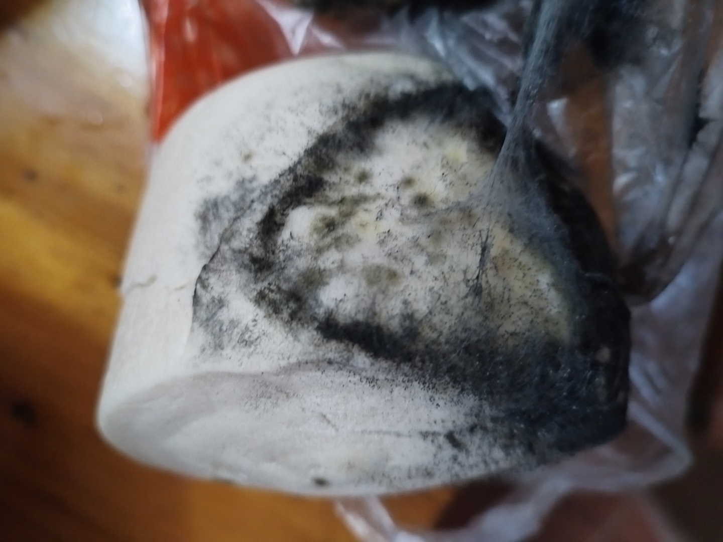 馒头长毛了,上面的毛是什么霉菌?有知道?
