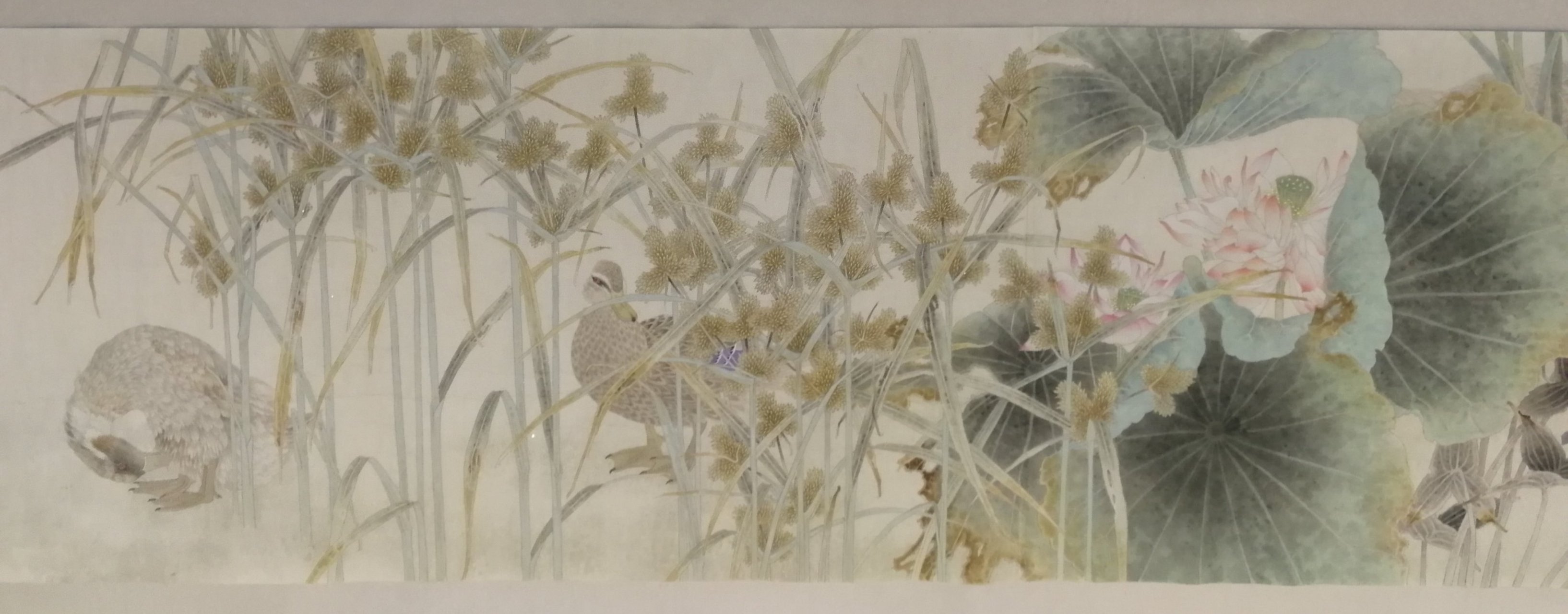 中国美协画家刘欣先生工笔花鸟画5米长卷作品欣赏