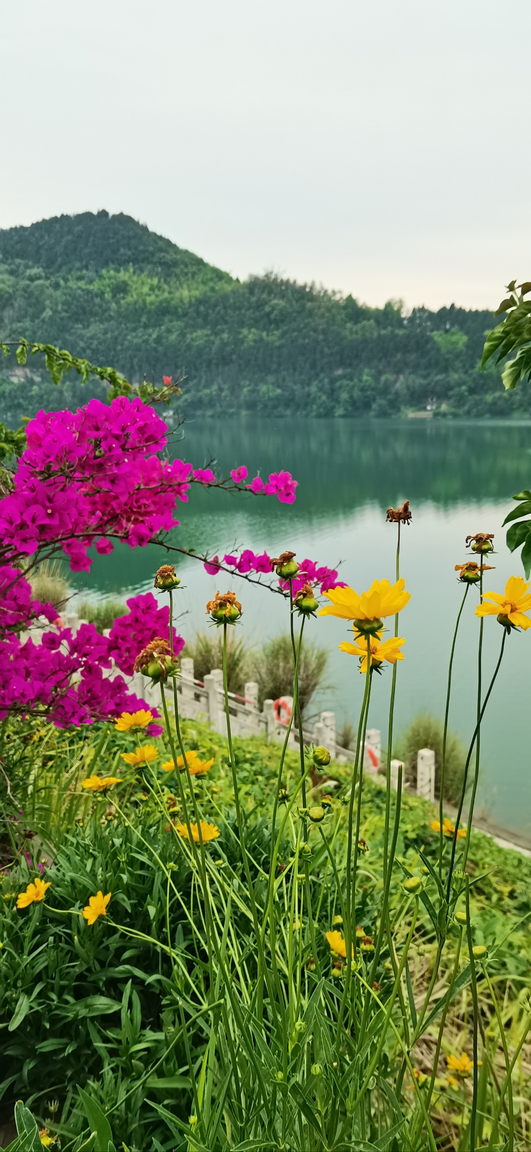 刚从阆中古城回来,魂儿还留在那慢悠悠的节奏里!