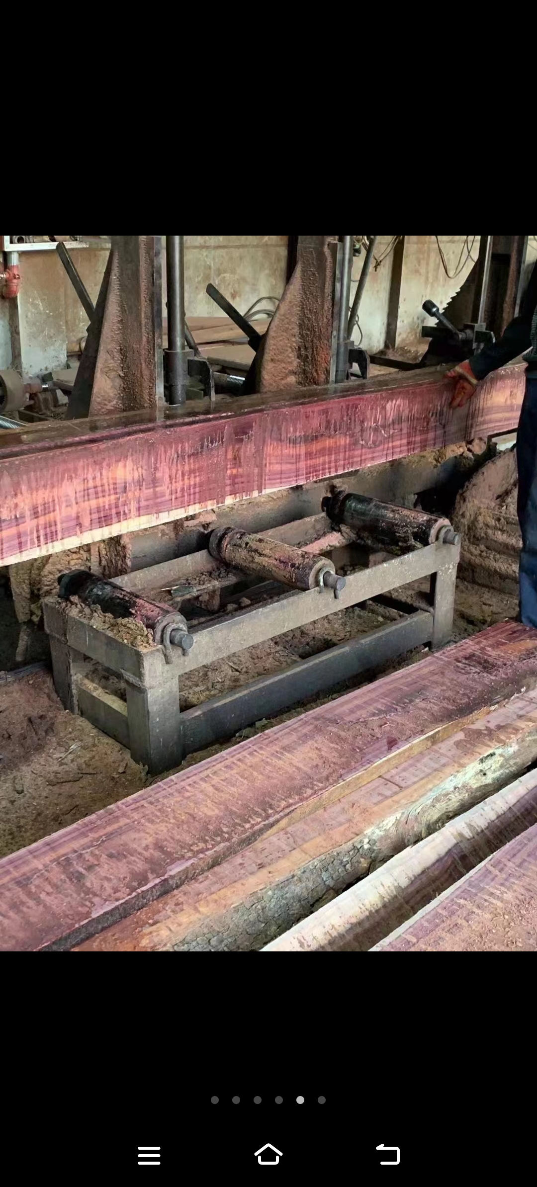 墨西哥酸枝,气干密度0.98~1.