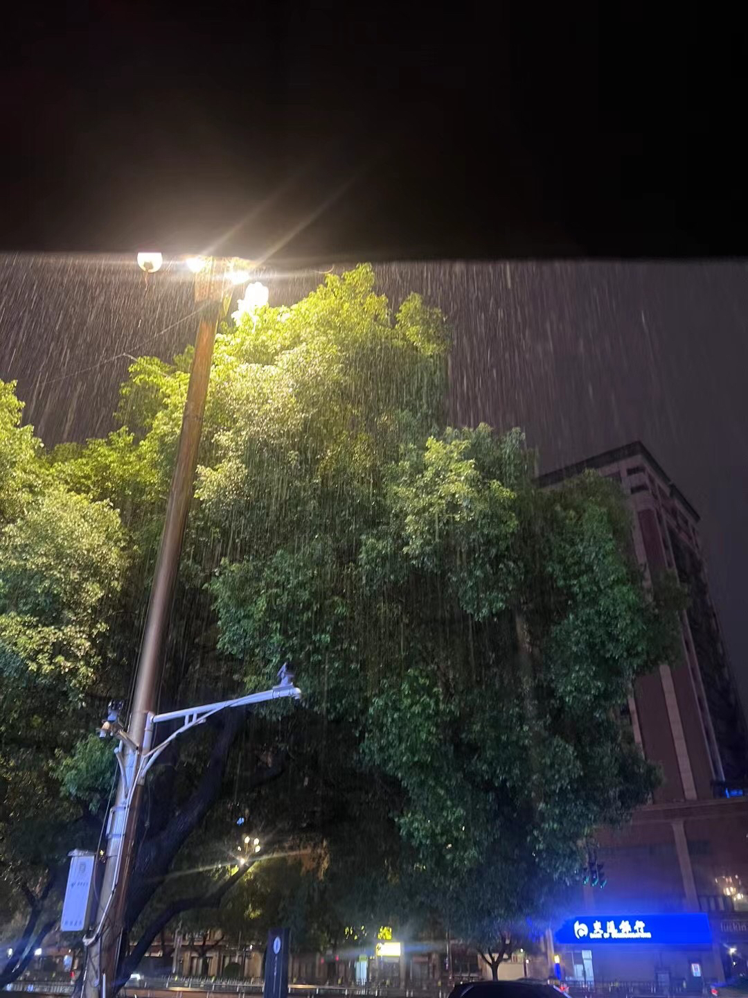 街灯无惧冷雨风图片