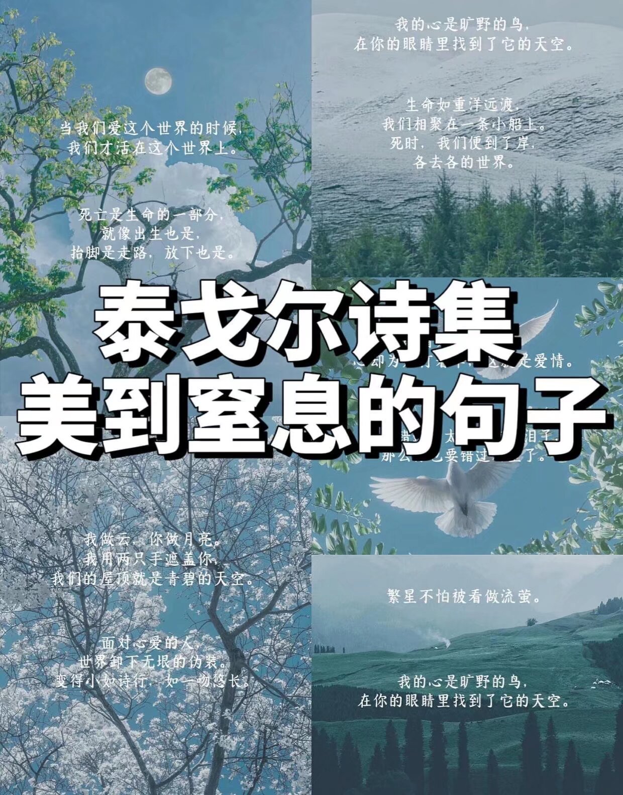 泰戈尔诗集美到窒息的句子 我的心是旷野的鸟, 在你的眼睛里找到了它