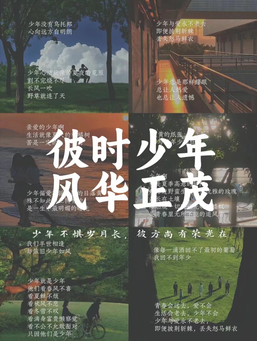 少年就是少年,他们看春风不喜,看满身富看夏蝉不烦,看秋风不悲,冬雪