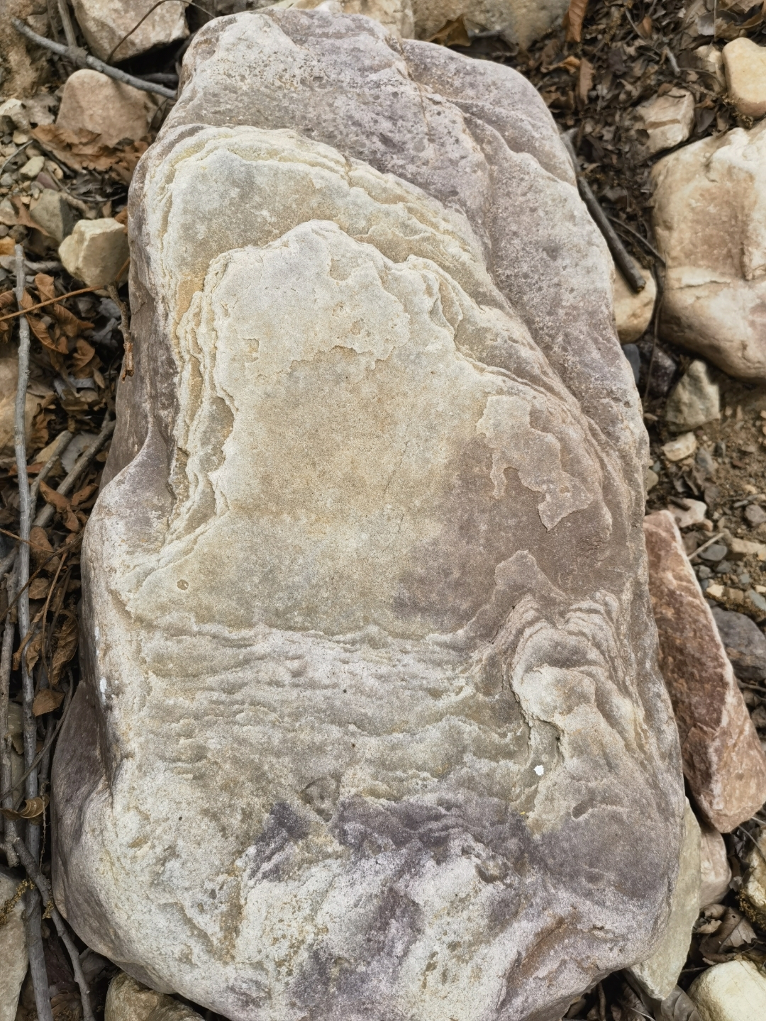 这个石头相对厚重,约有八十多斤