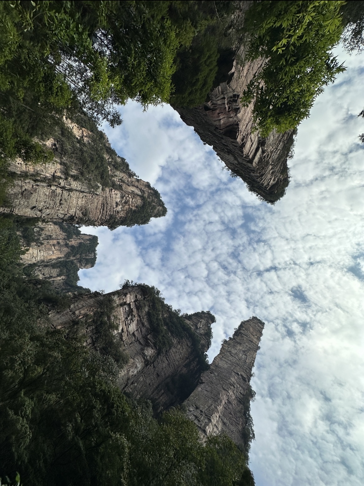 哇,这儿的风景真是太壮观了,高耸的石峰直插云霄,周围环绕着郁郁葱葱