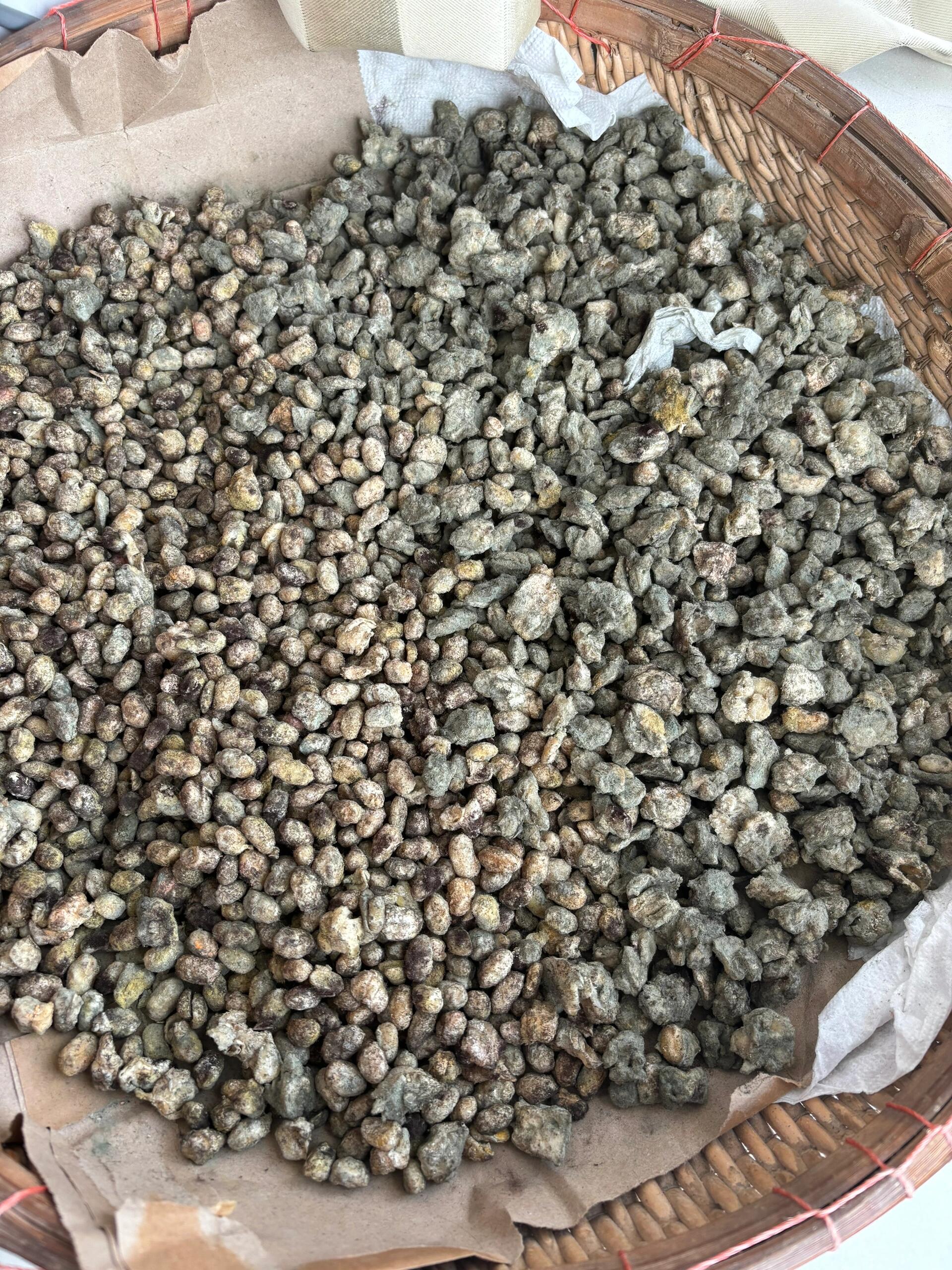 老妈捂的霉豆子,感觉味道不对呀.大家帮忙看看