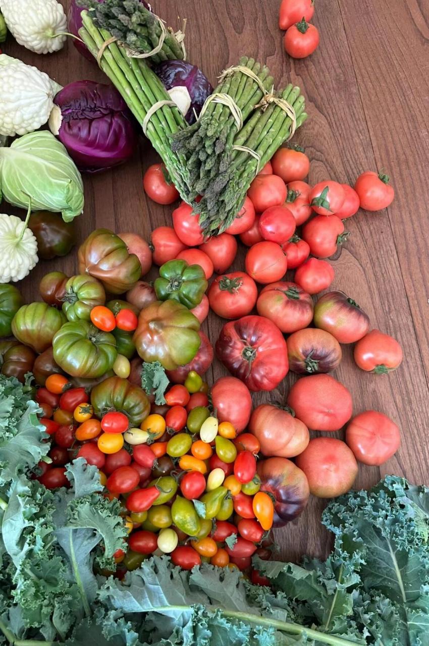 素食主义的天堂