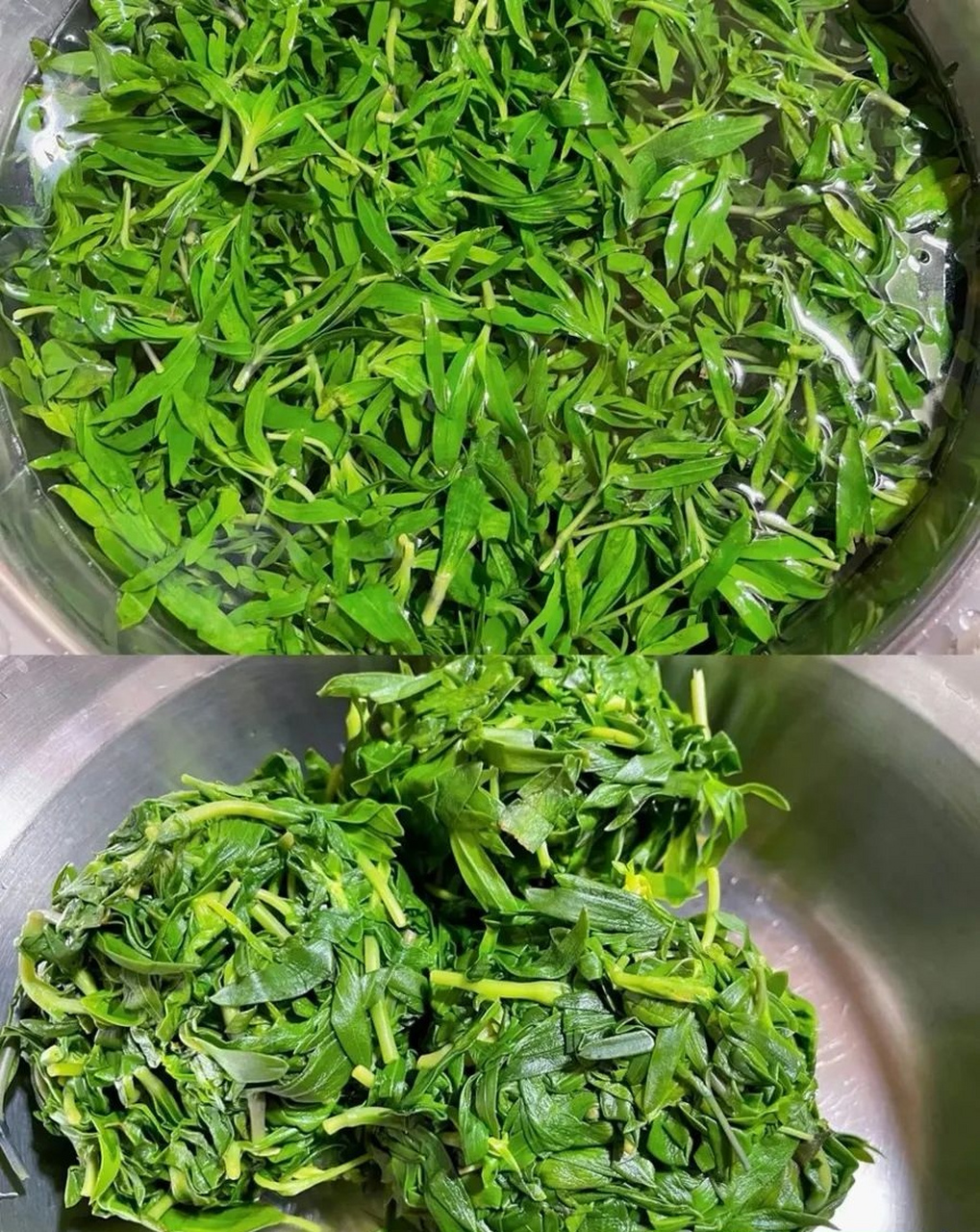 山麻楂主要生长于干燥的山坡上,及山坡石缝中.