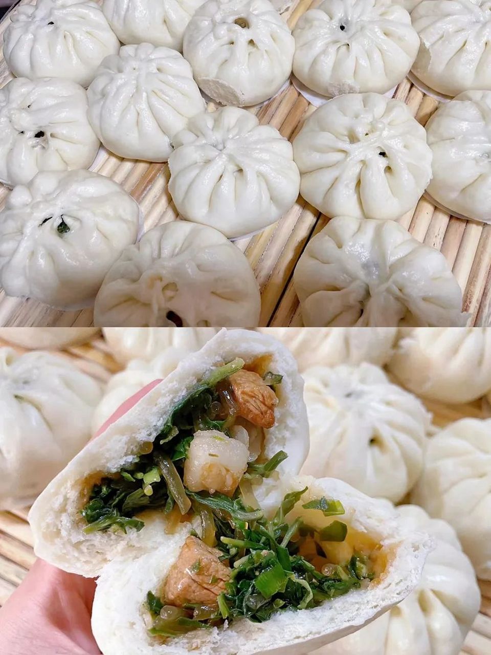 山麻楂主要生长于干燥的山坡上,及山坡石缝中.