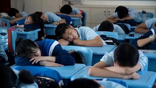 活久见,第一次听说趴桌午休收费,一学期200?