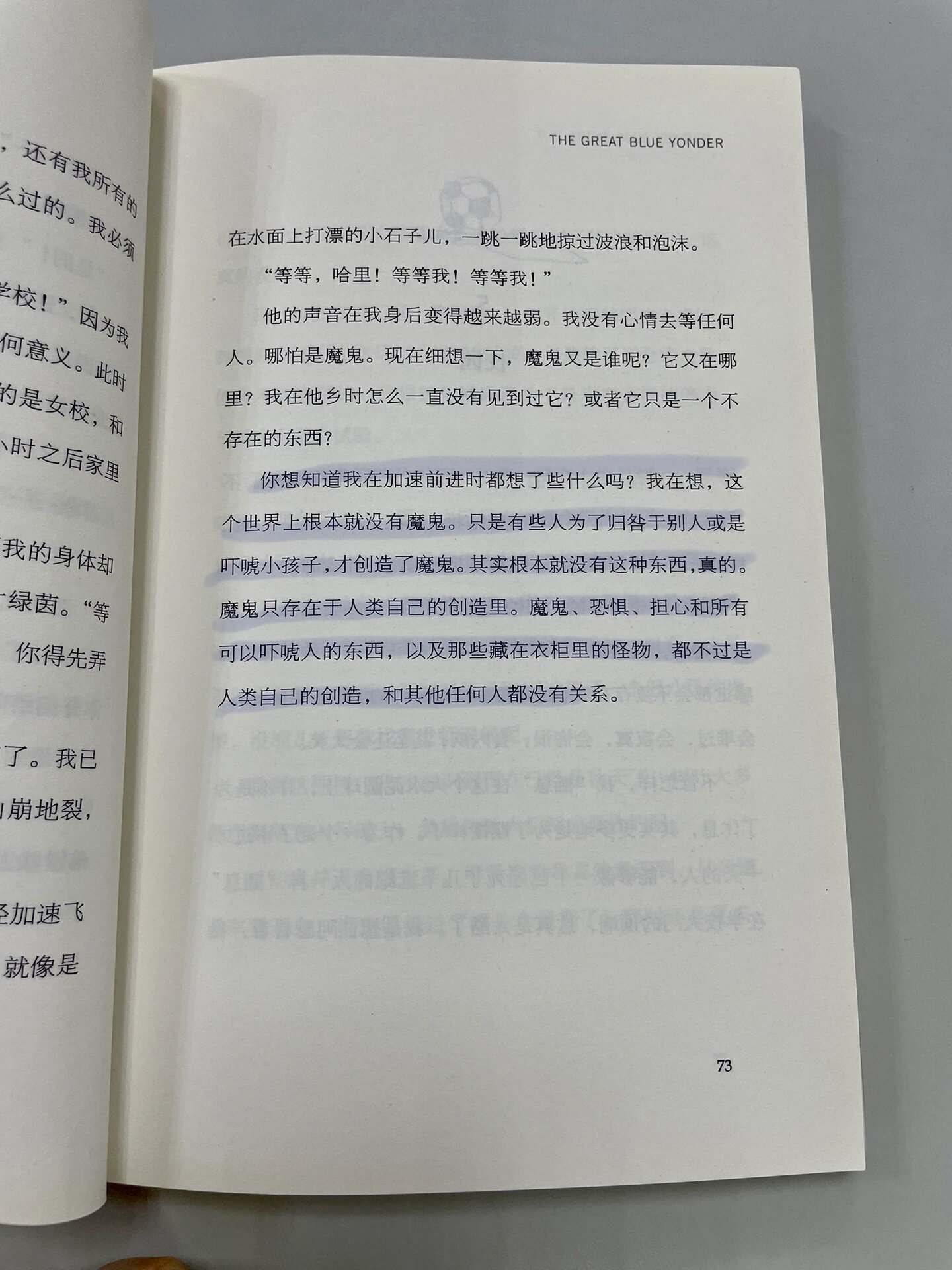 书名:《天蓝色的彼岸》 作者:亚历克斯·希勒  因车祸意外身亡的小