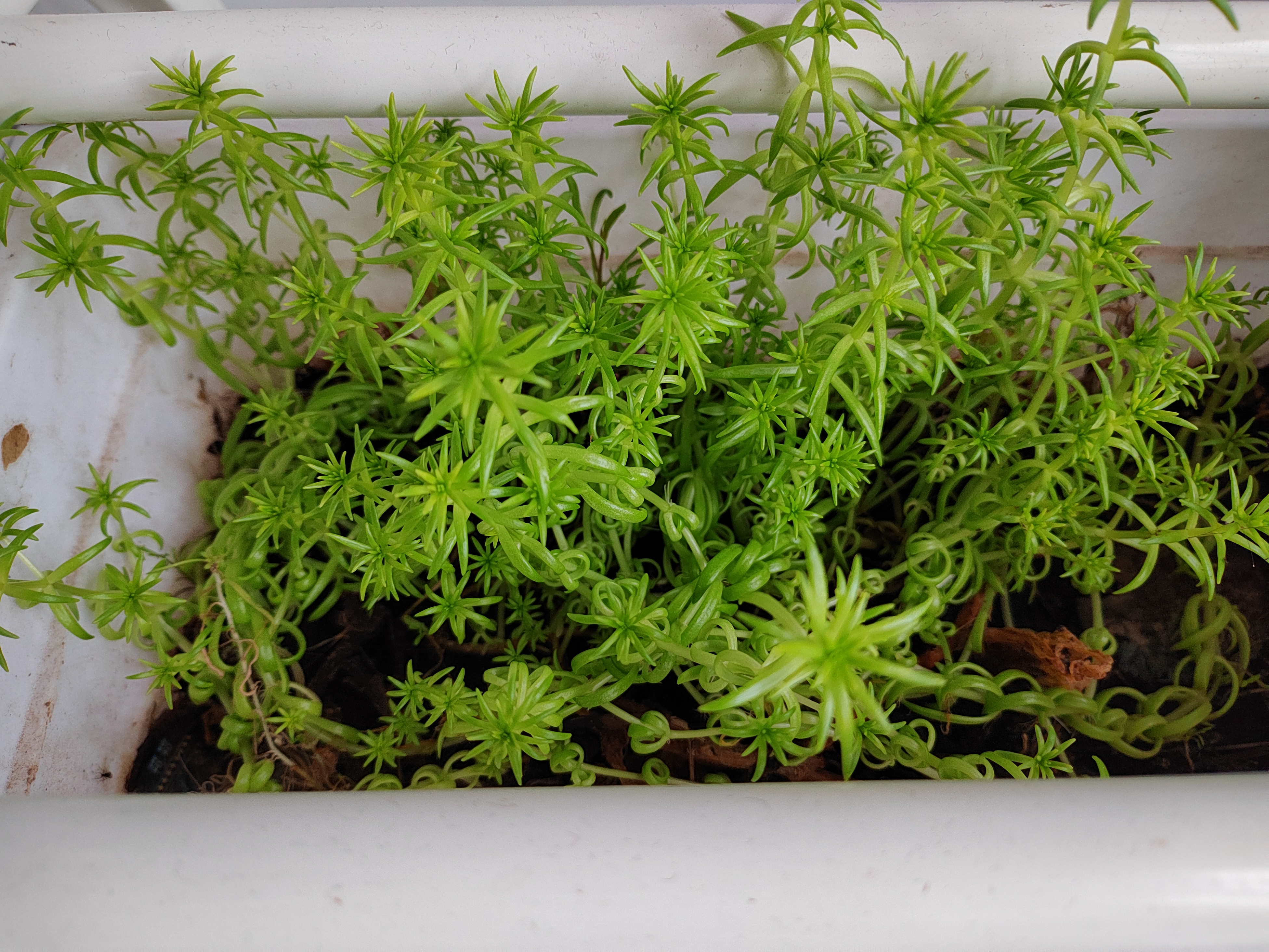 总有一个人原本只是过客,却成了记忆的常客