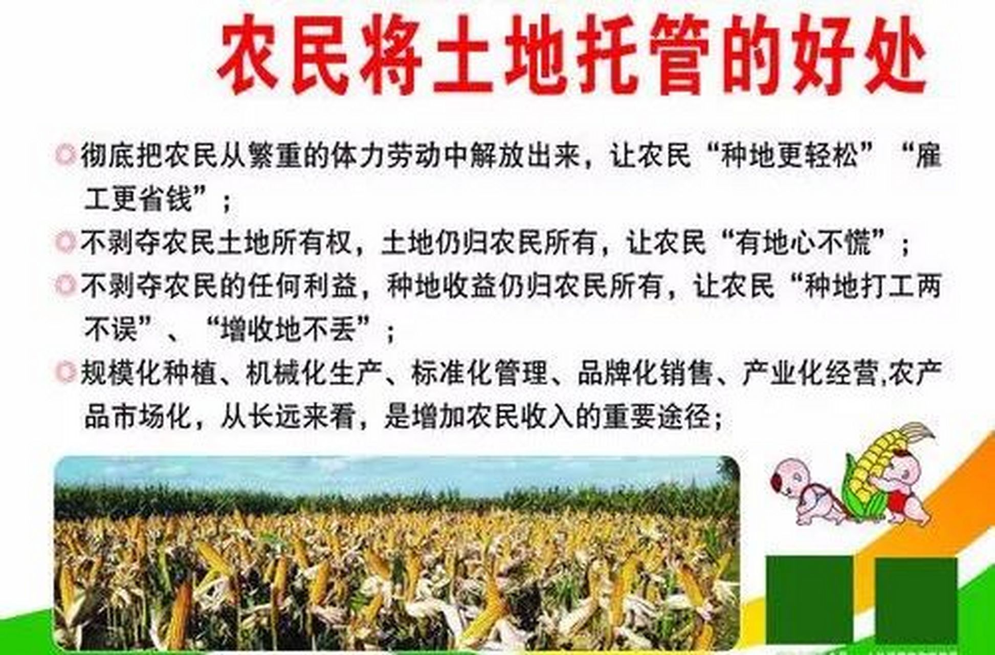 大豆种植最新动态探索
