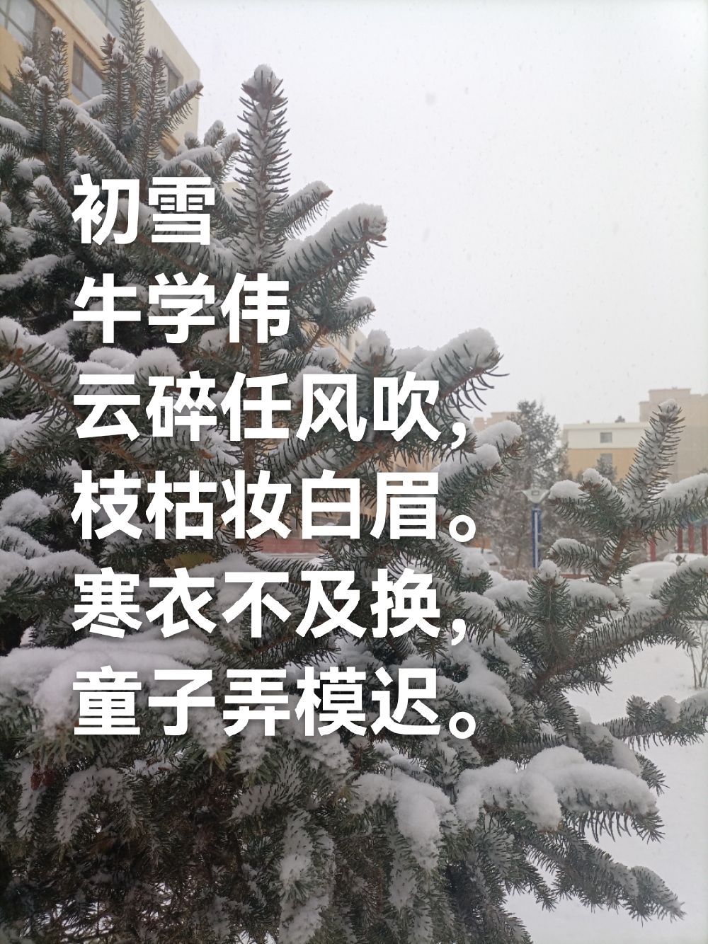 借年选段大雪飘飘图片