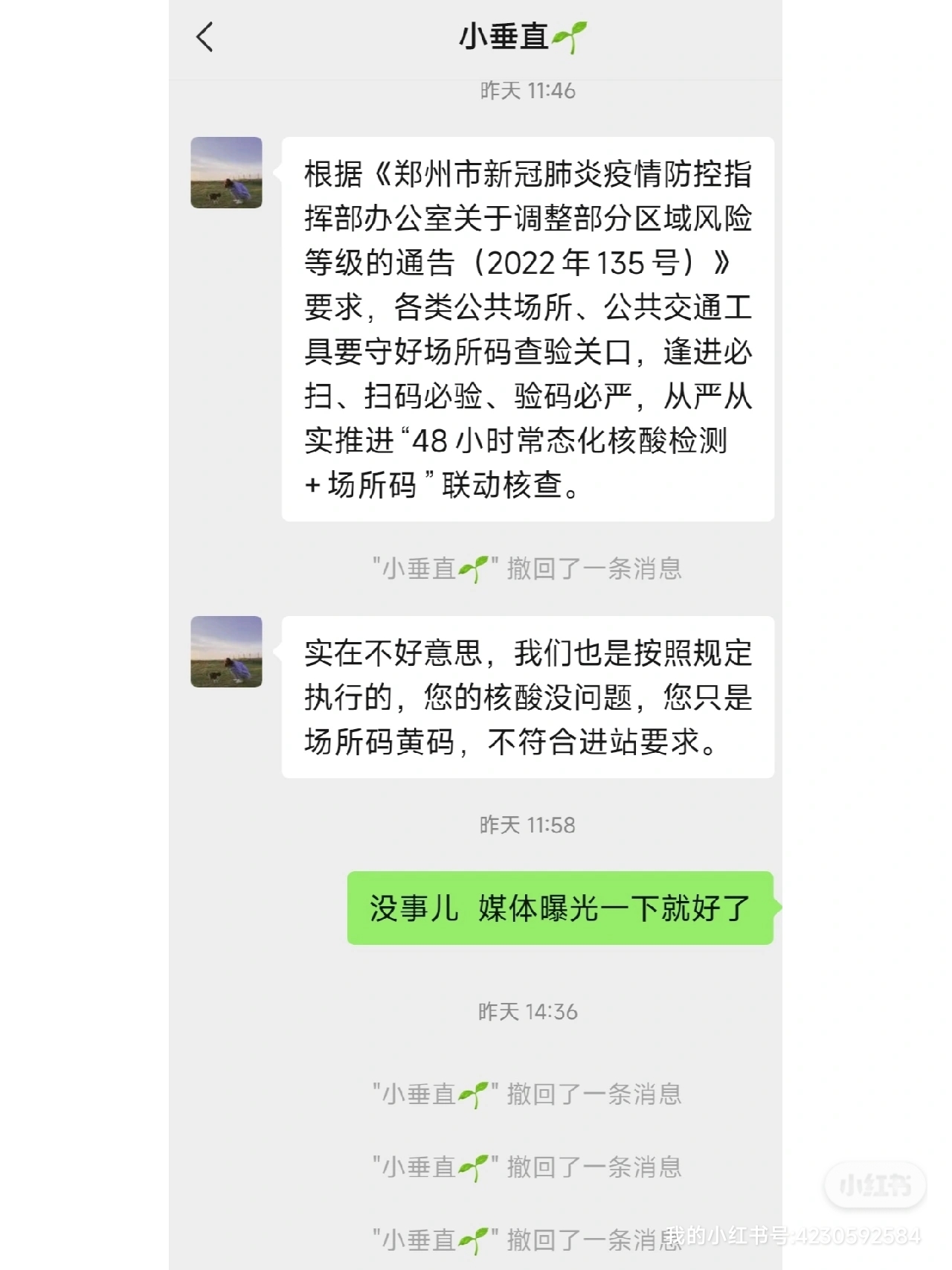 河南落地黄码图片