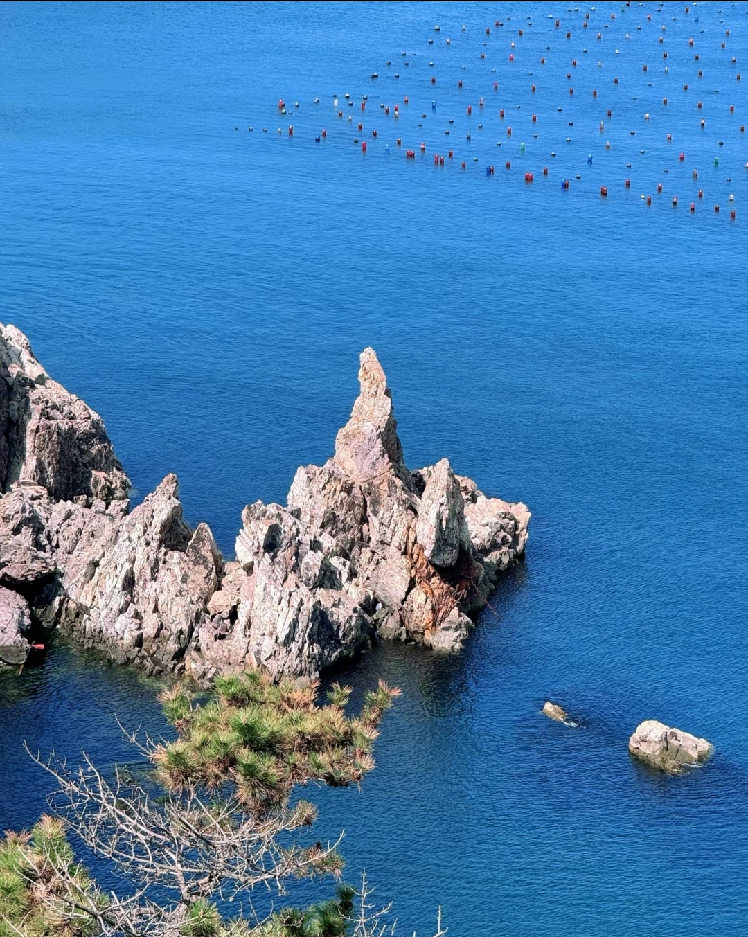 美丽的南隍城岛我的家,欢迎大家来游玩[中国加油][中国加油][中国加油