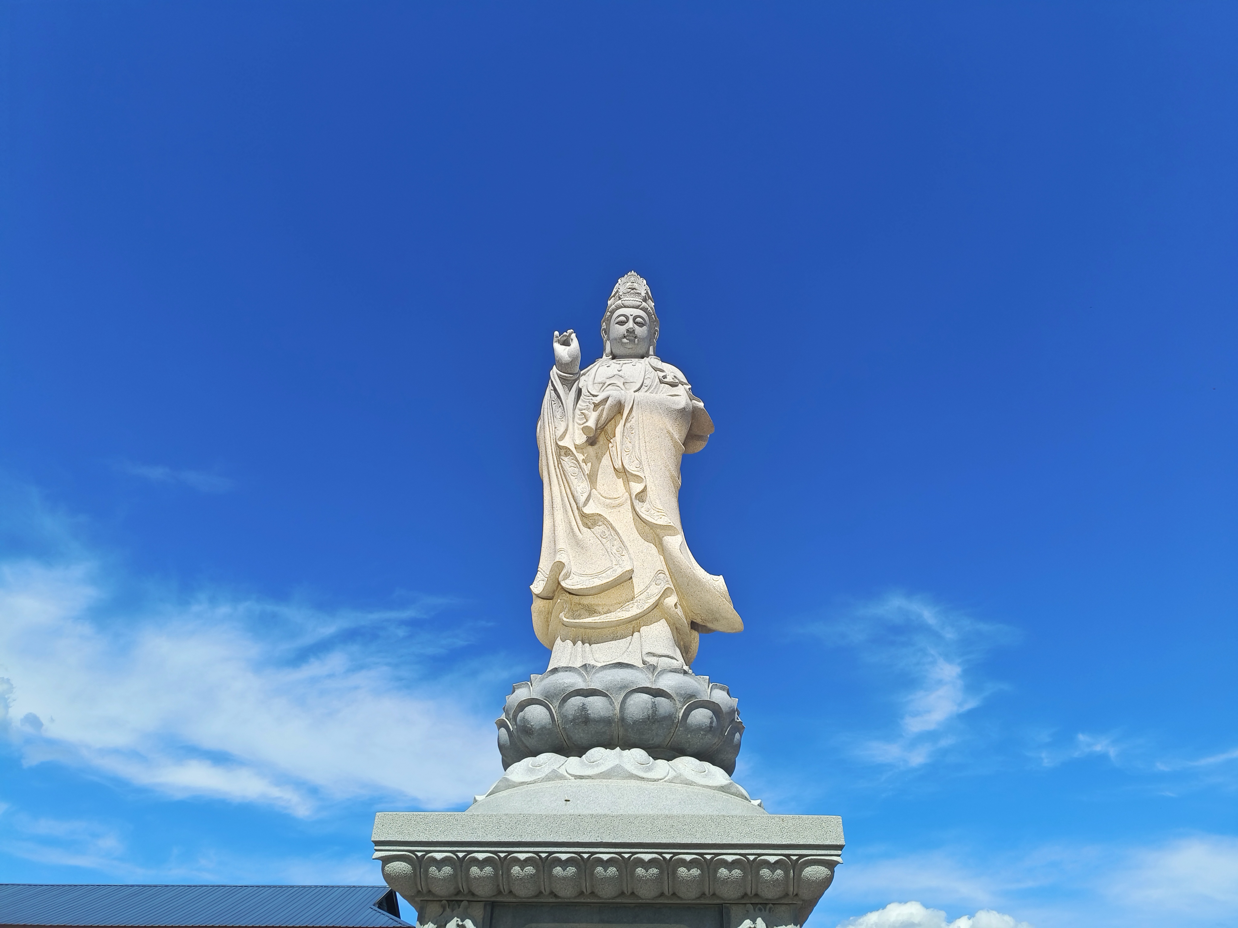 分享图片