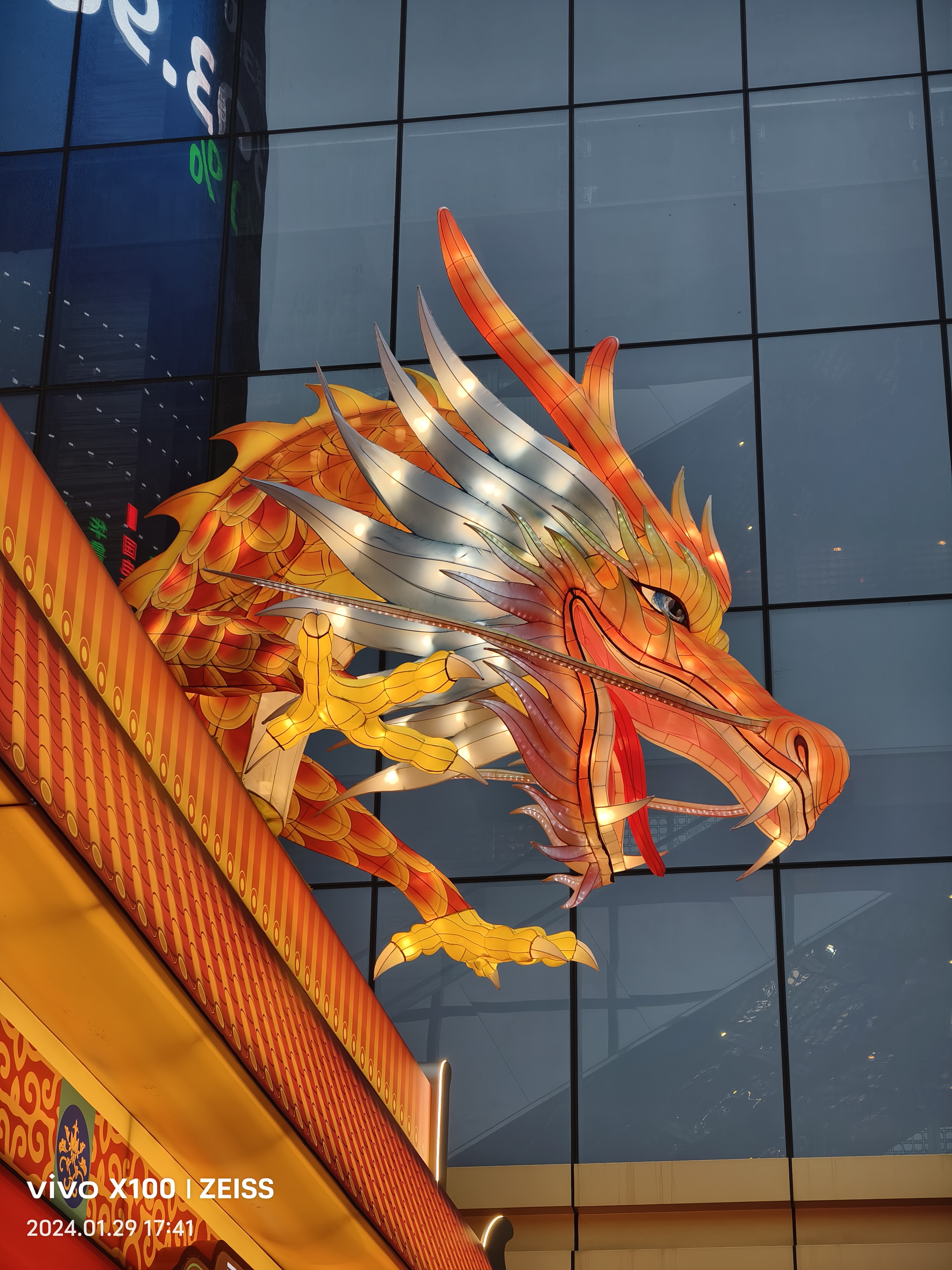 孙子孙女的内裤我看到没五头神龙龙类终于破镜重圆了魔兽世界五色