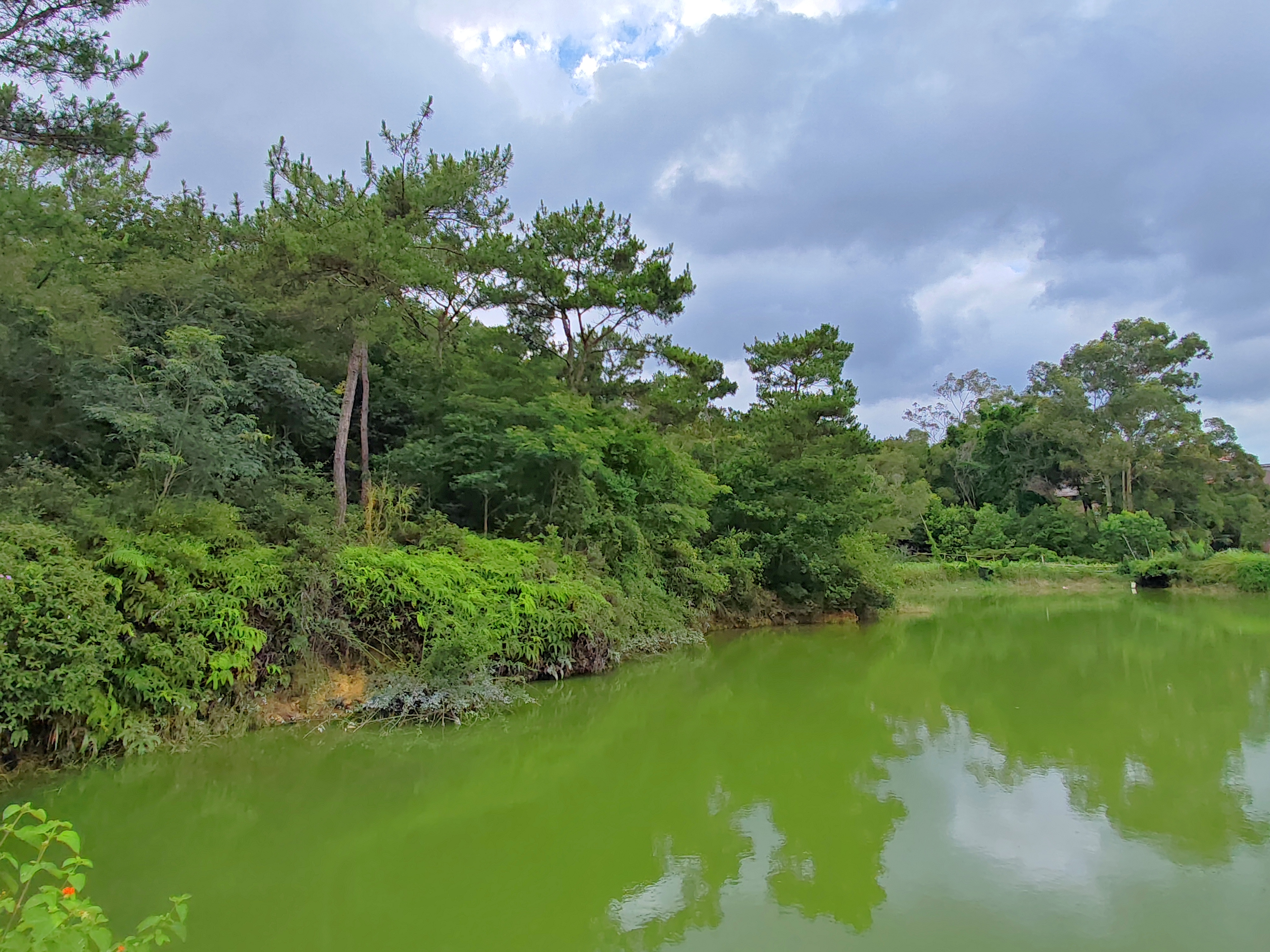 蝶村永安印象 一一泉州•洛江区•马甲镇•永安村