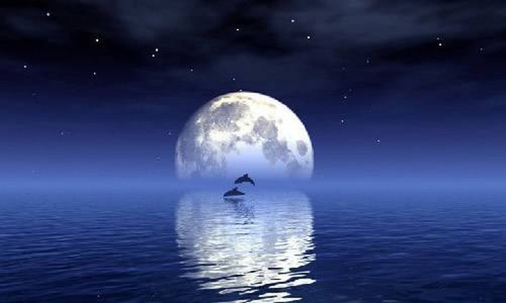 思月 久坐易生遑, 起身随影凉. 不看水底月, 落岸变新霜.