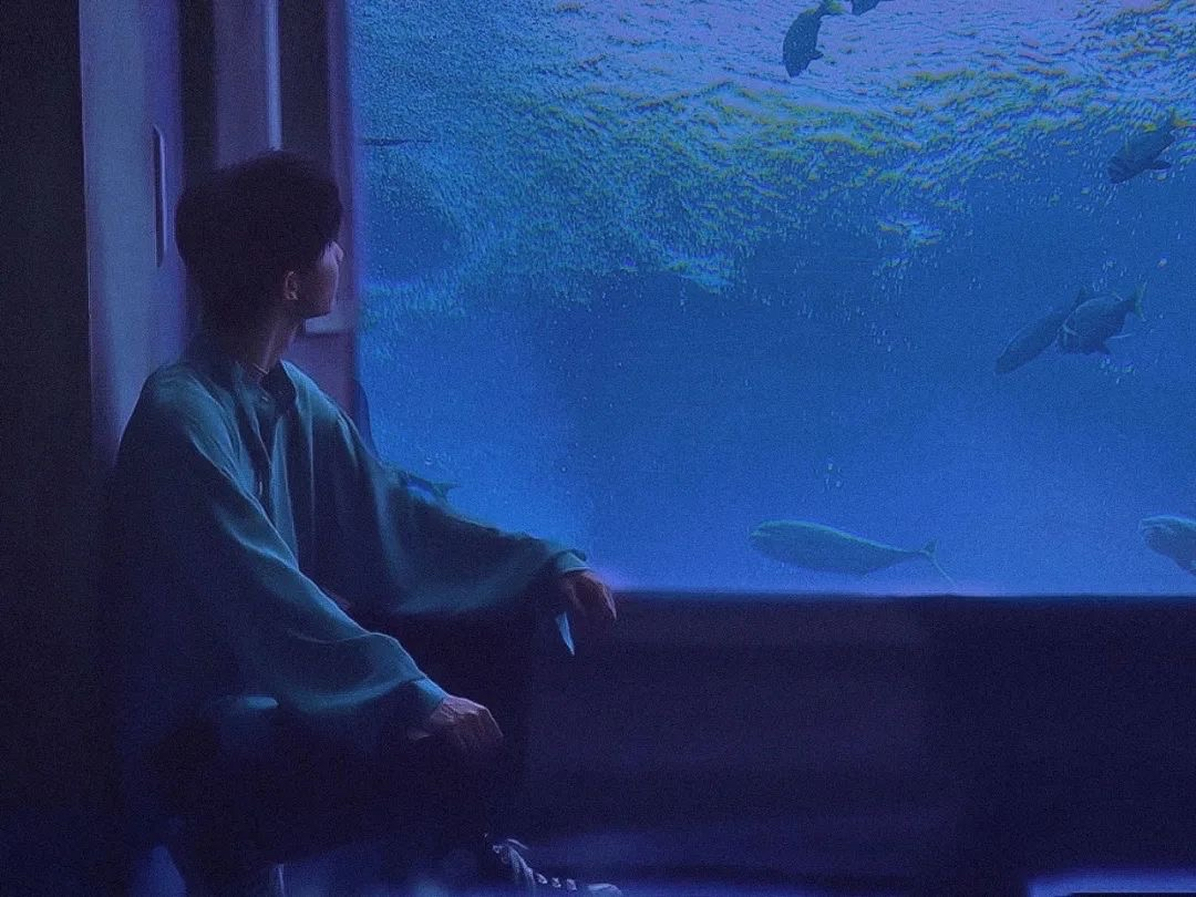 寂静星石- 总想要透过你眼睛 去找寻最原始的野性 没想到最后却闯进