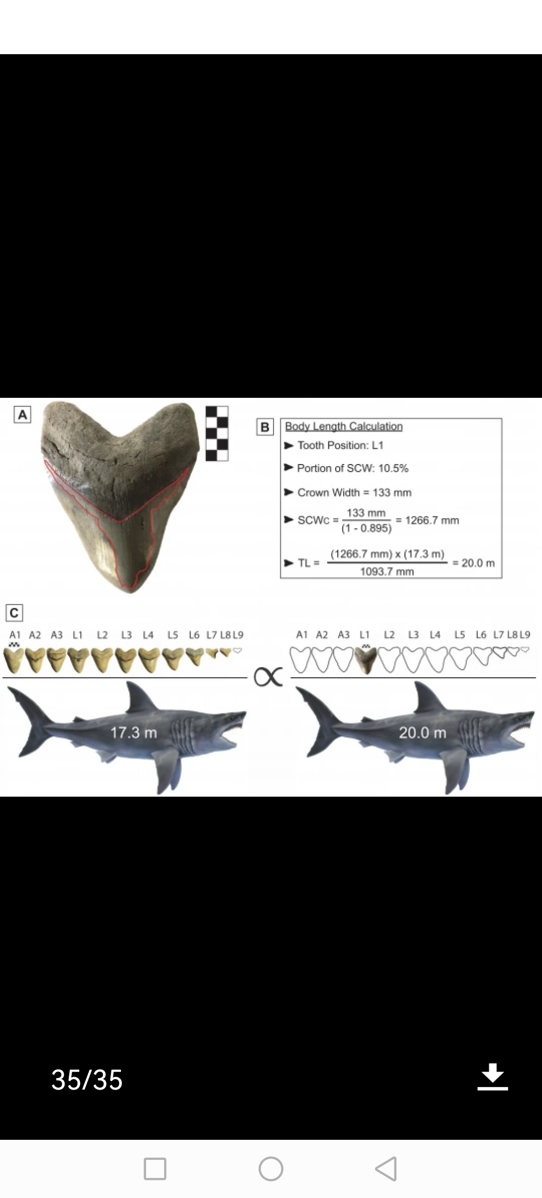 巨齿鲨的体重计算公式,大家看看有谁能看懂[左捂脸][左捂脸]