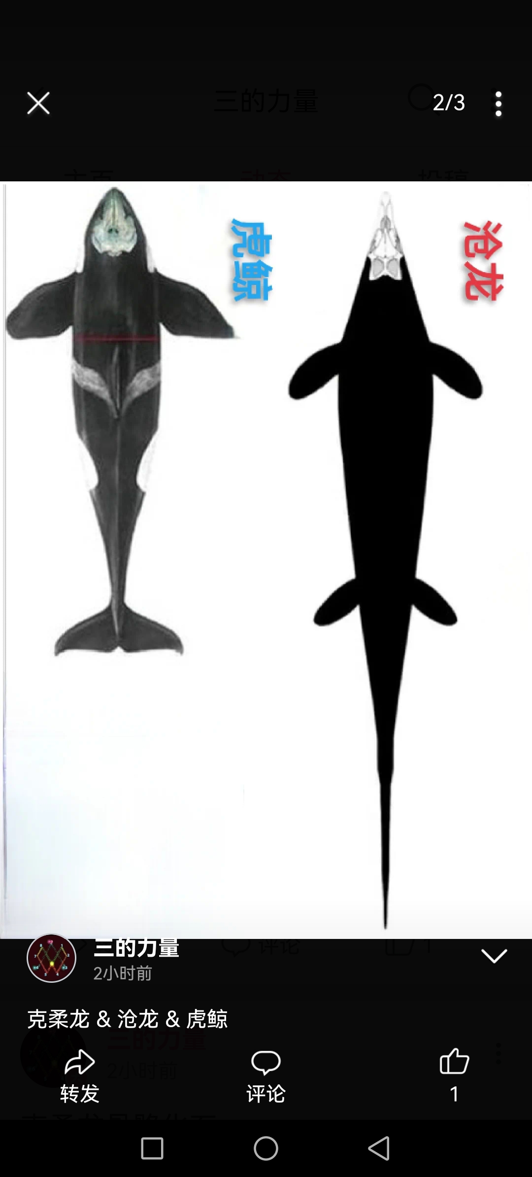 克柔龙,沧龙,虎鲸的府视图