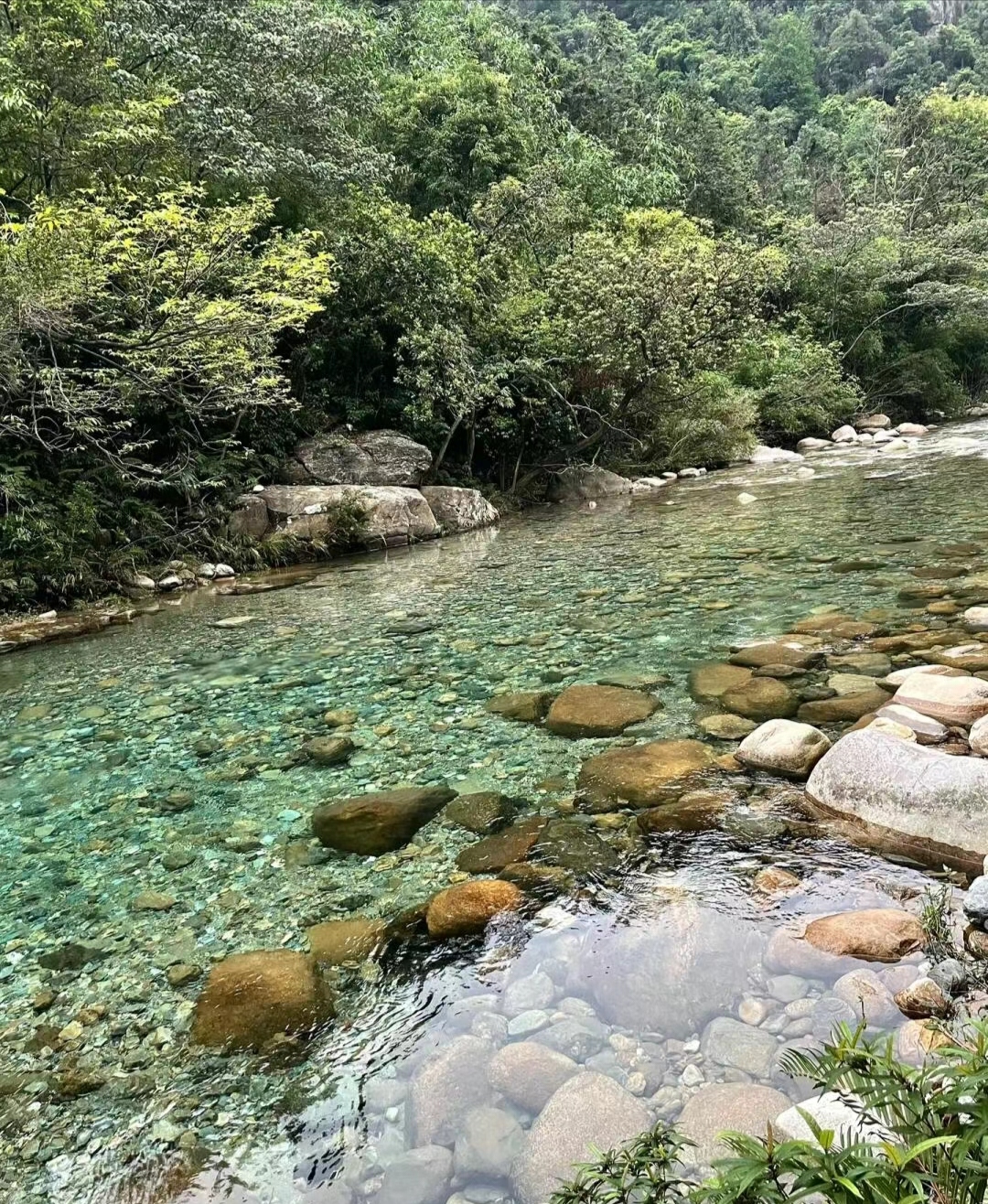 清澈见底小溪图片