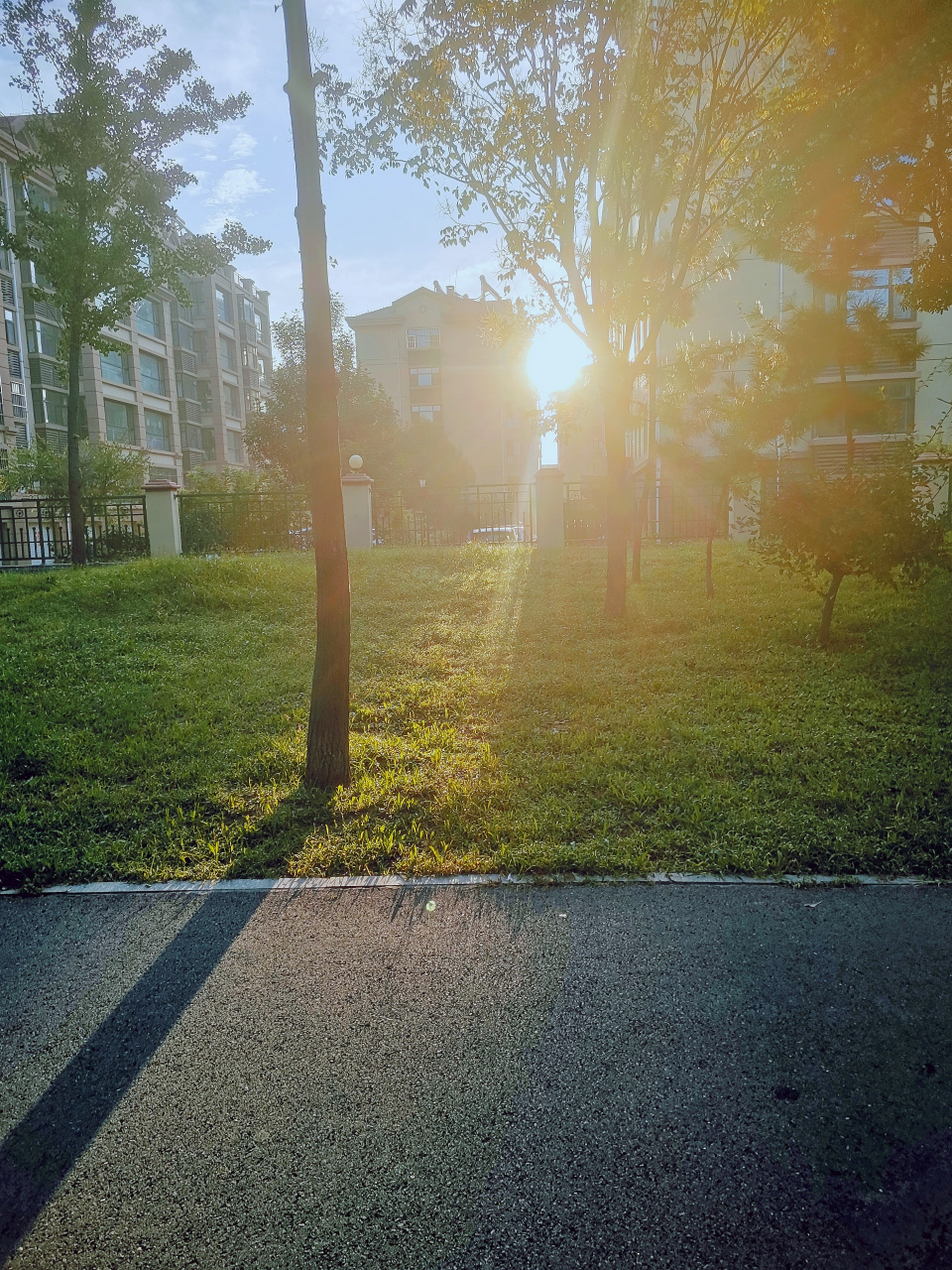 早上的太阳早晨图片